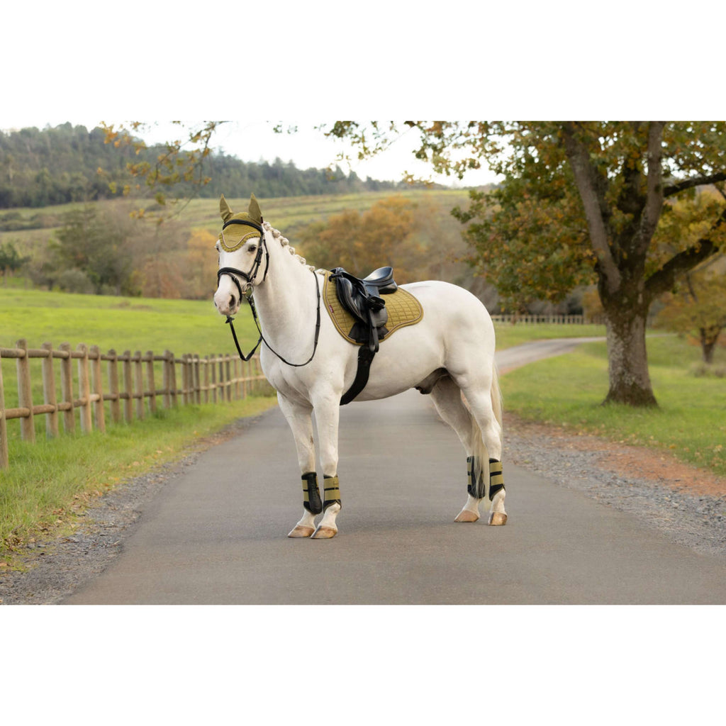 LeMieux Saddlepad Suede Square All Purpose Gooseberry