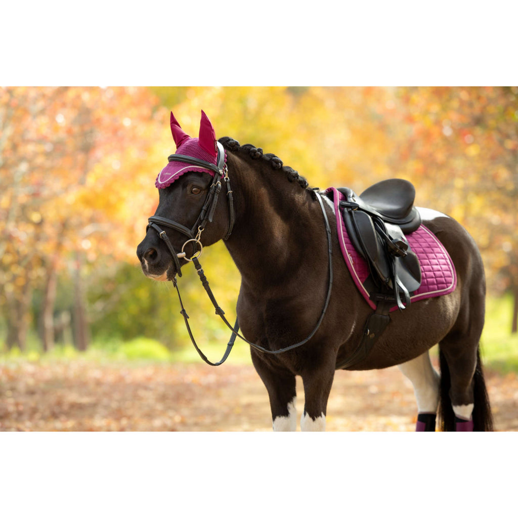 LeMieux Ear Bonnet Classique Blackberry