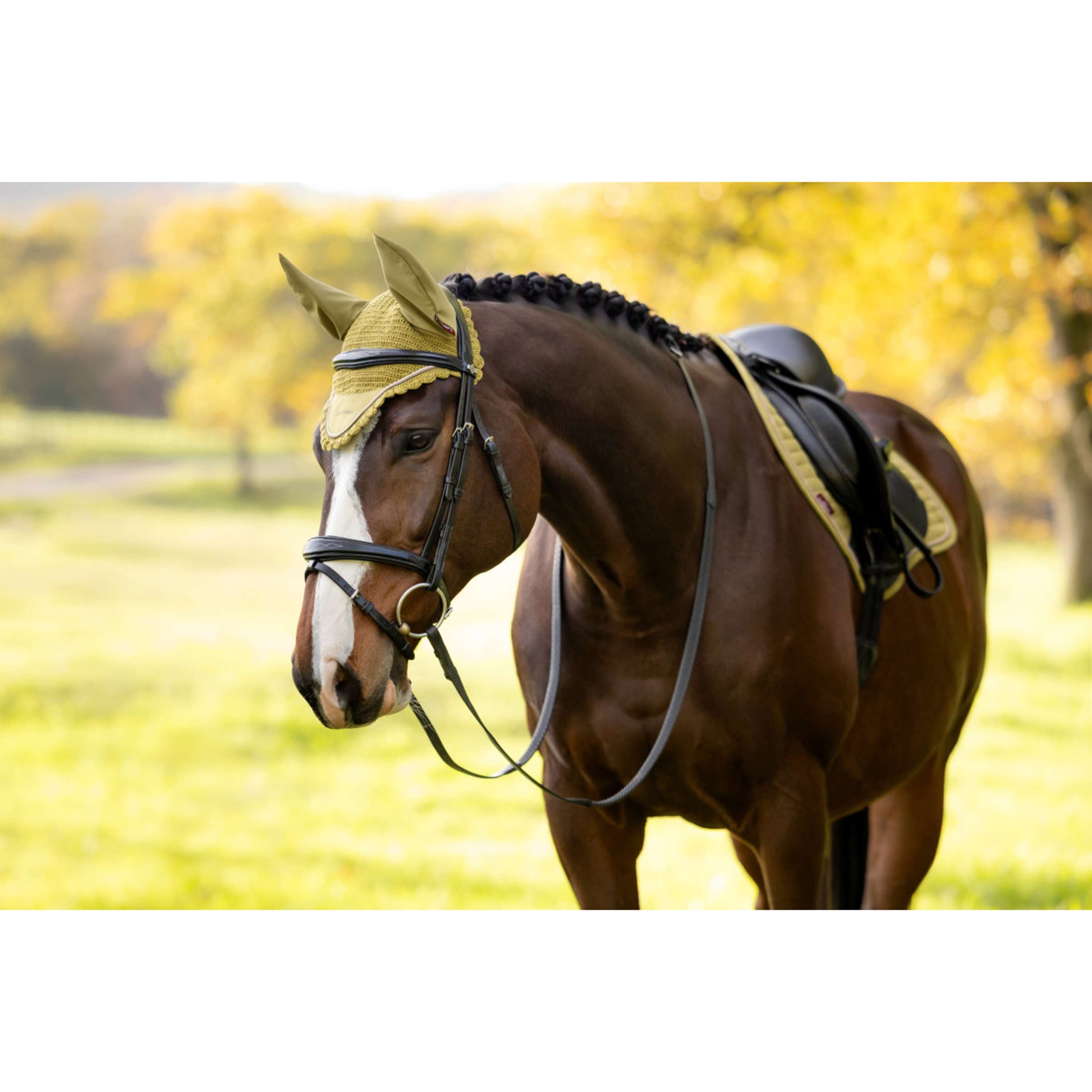 LeMieux Ear Bonnet Classique Gooseberry