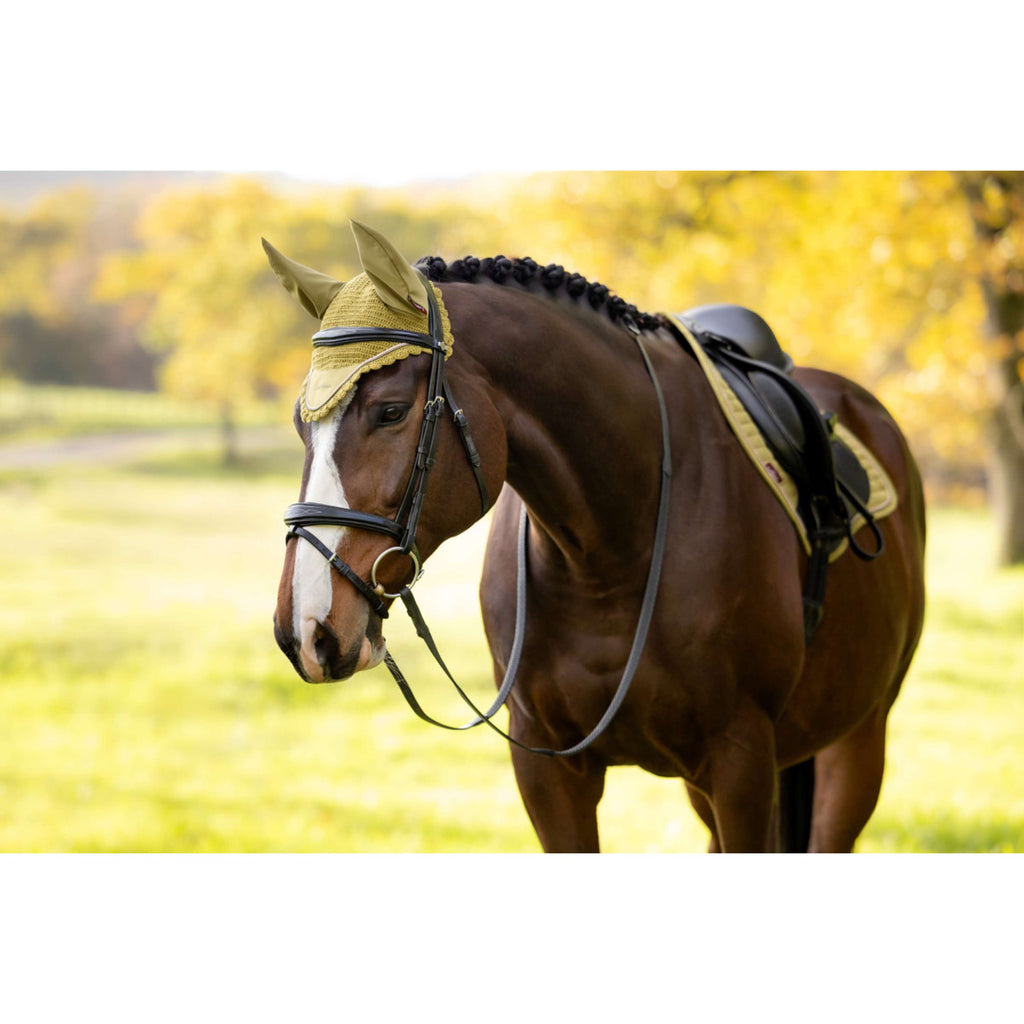 LeMieux Ear Bonnet Classique Gooseberry