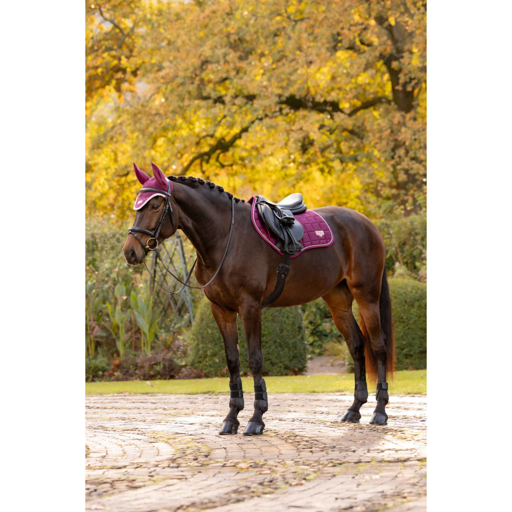 LeMieux Saddlepad Loire Classic Close Contact Square Jumping Blackberry