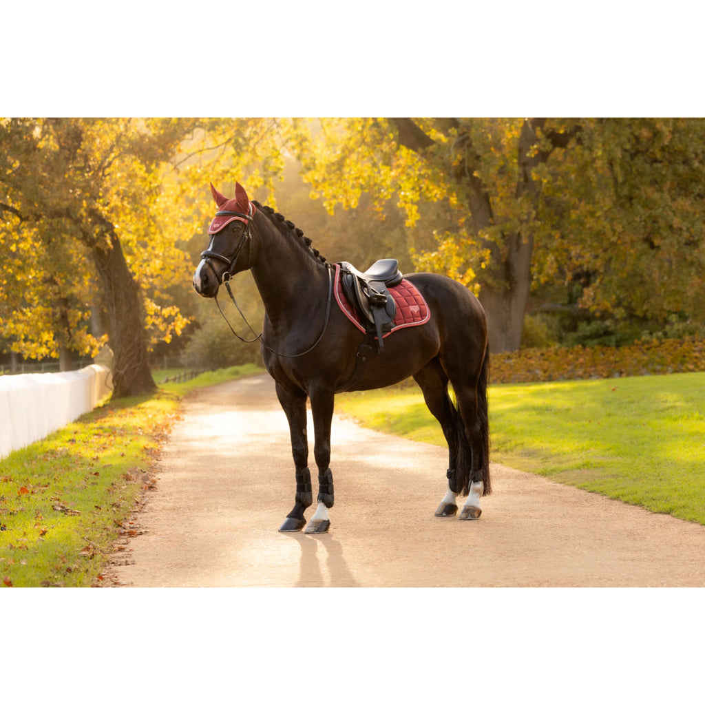 LeMieux Saddlepad Loire Classic Close Contact Square Jumping Russet