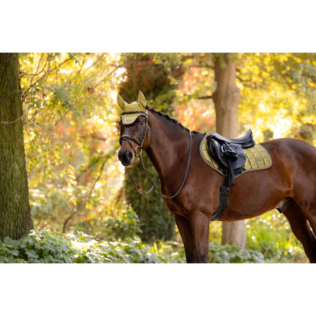LeMieux Saddlepad Loire Classic Close Contact Square Jumping Gooseberry