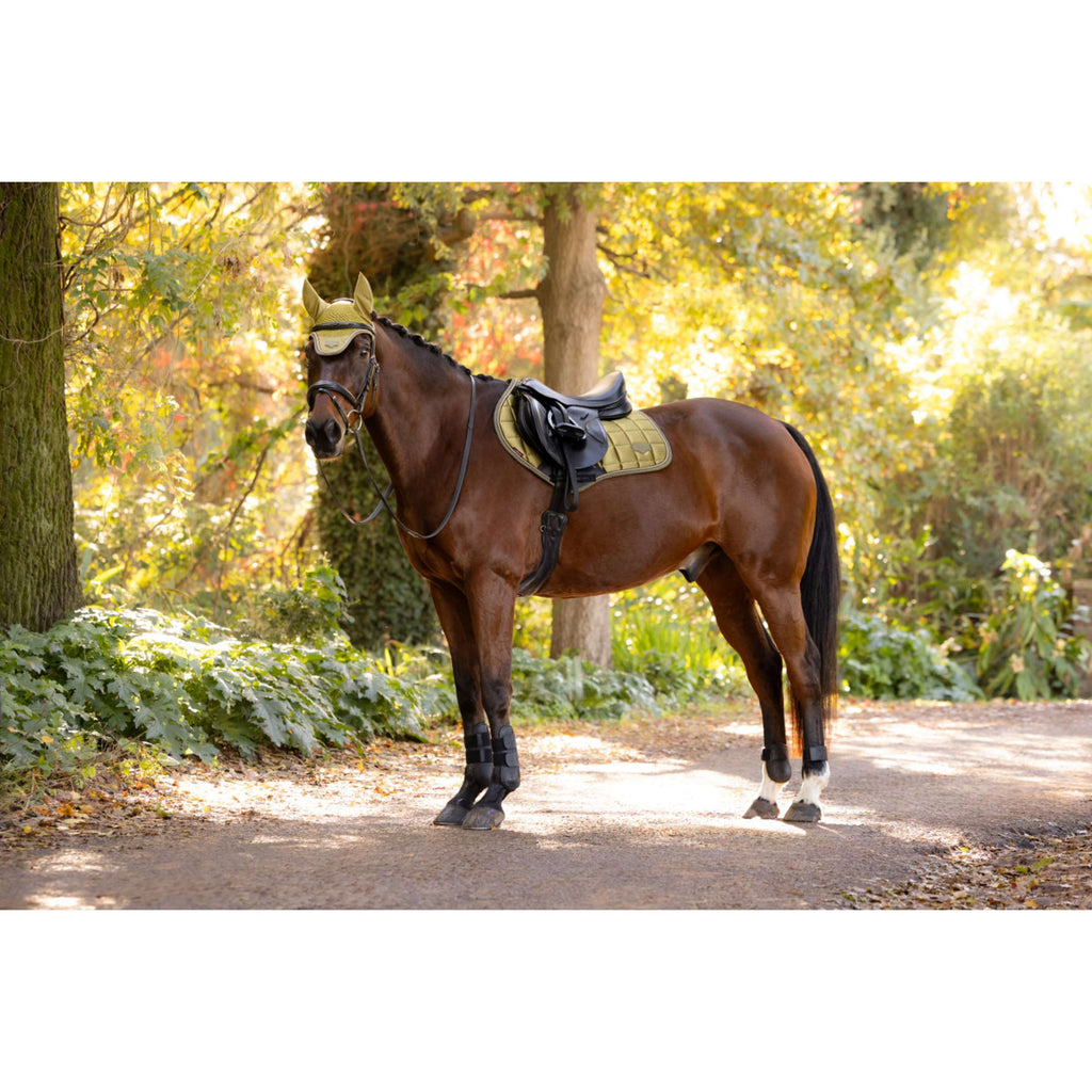 LeMieux Saddlepad Loire Classic Close Contact Square Jumping Gooseberry