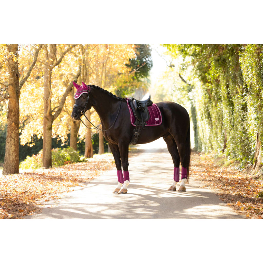 LeMieux Saddlepad Loire Classic Square Dressage Blackberry