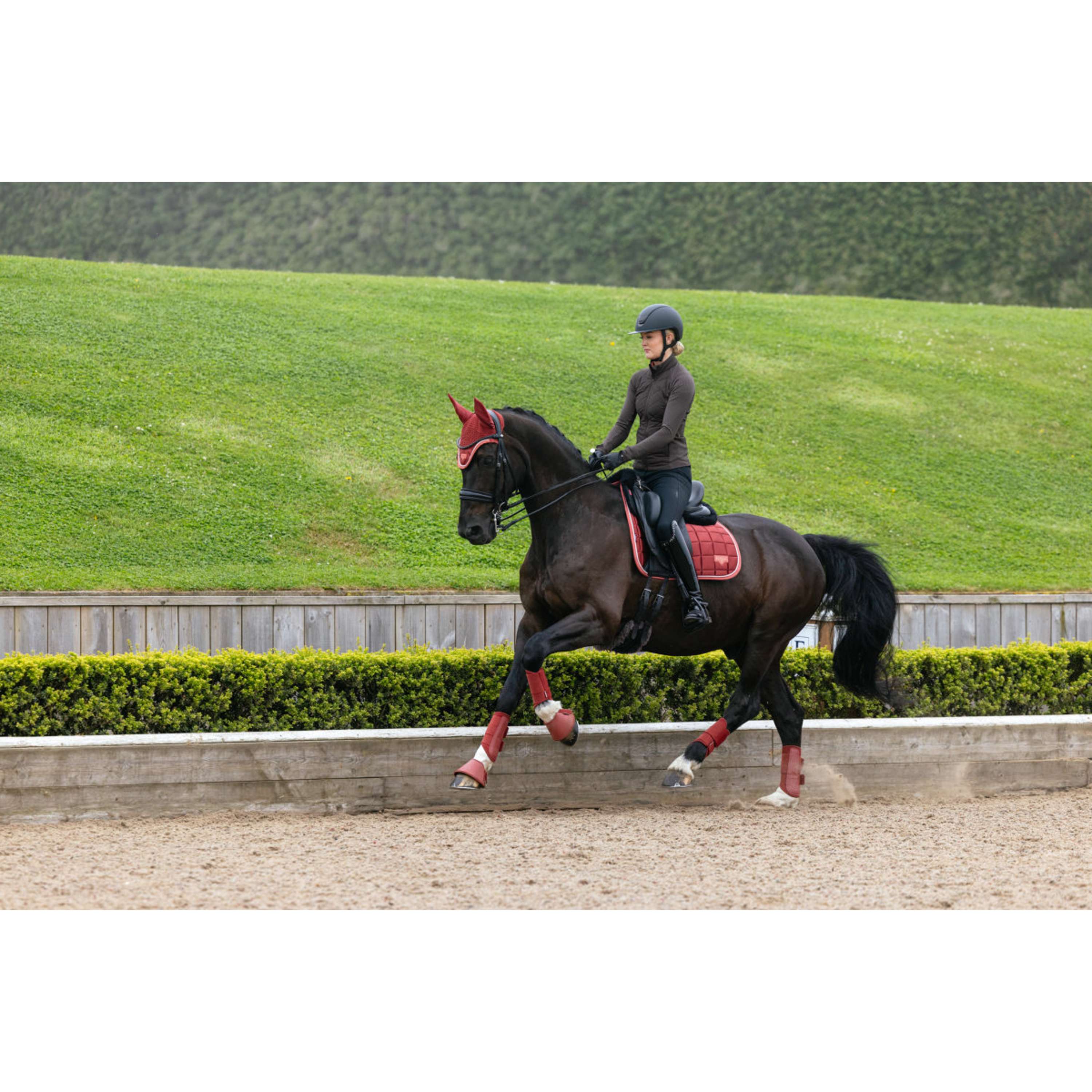 LeMieux Saddlepad Loire Classic Square Dressage Russet