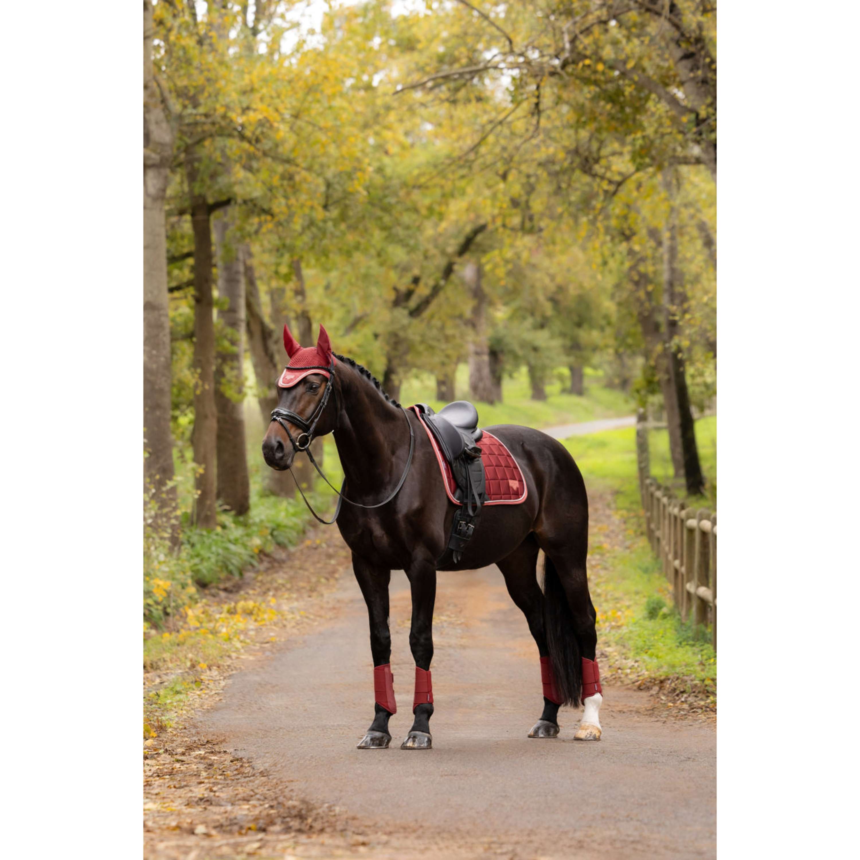 LeMieux Saddlepad Loire Classic Square Dressage Russet