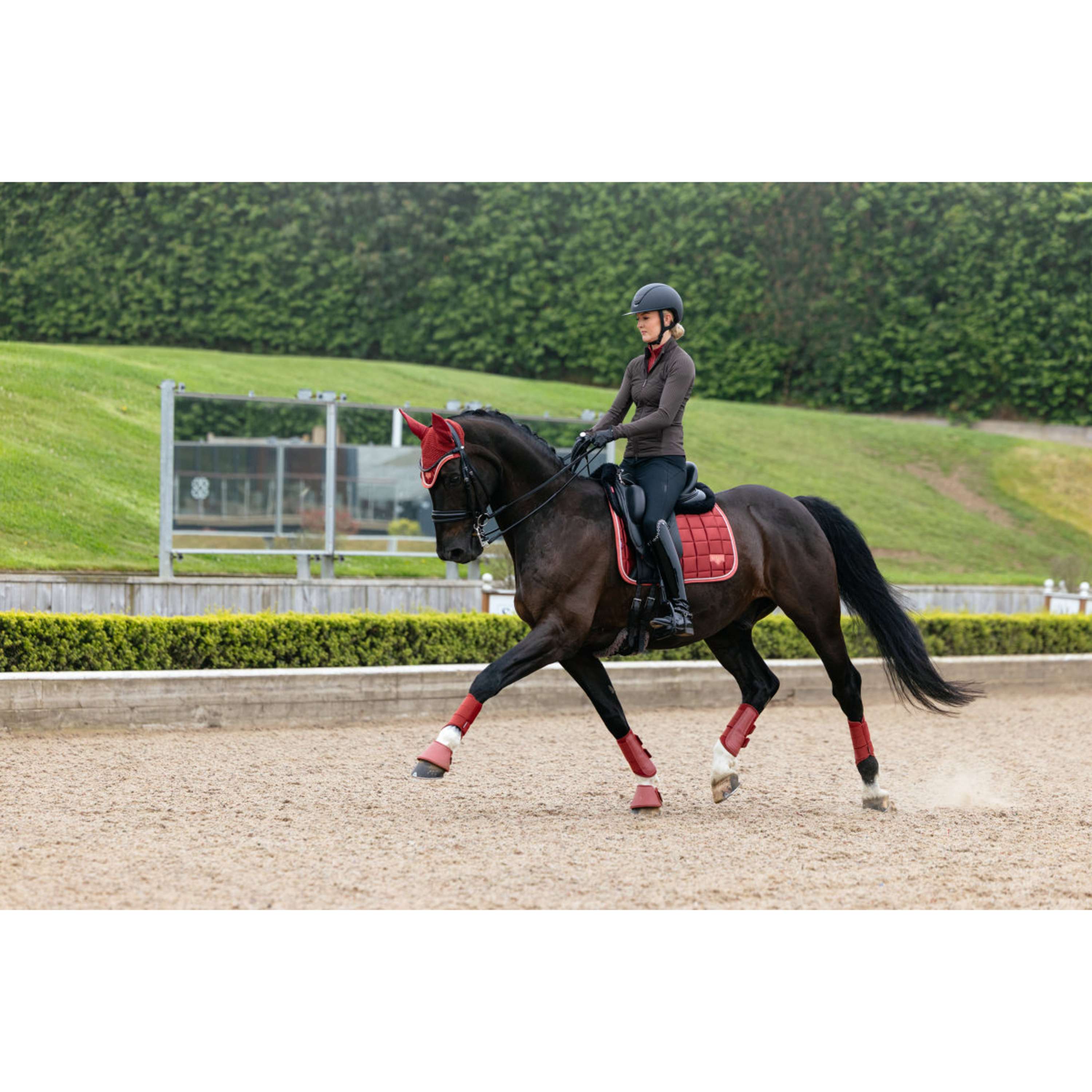 LeMieux Saddlepad Loire Classic Square Dressage Russet
