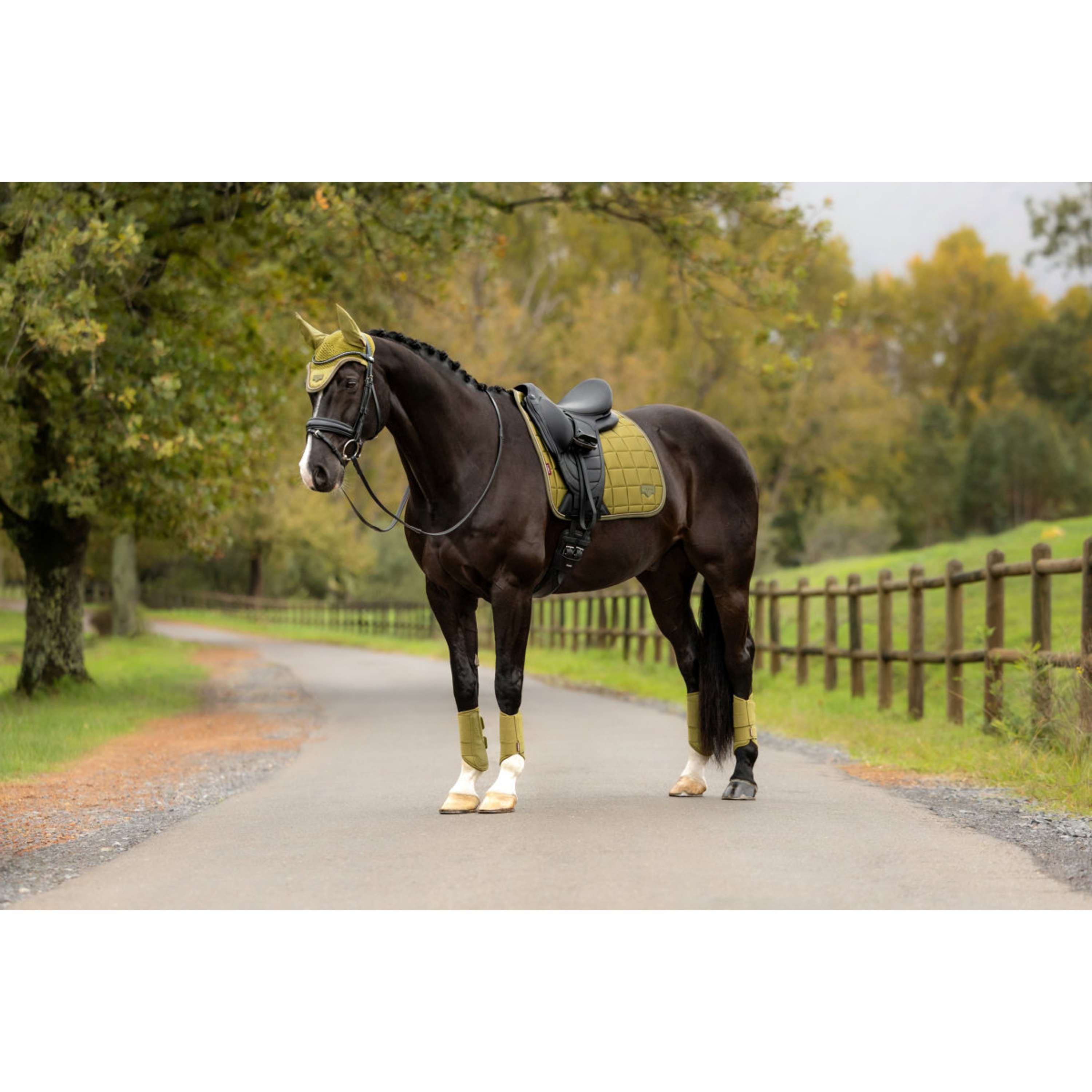 LeMieux Saddlepad Loire Classic Square Dressage Gooseberry