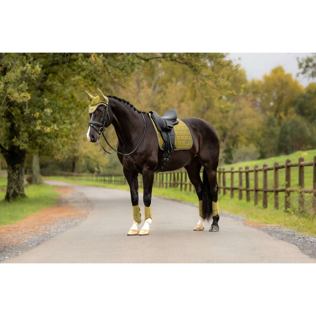 LeMieux Saddlepad Loire Classic Square Dressage Gooseberry