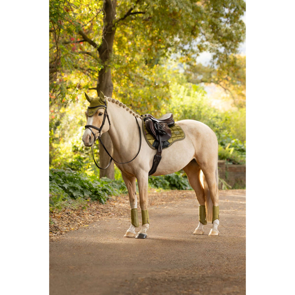 LeMieux Saddlepad Loire Classic Square All Purpose Gooseberry