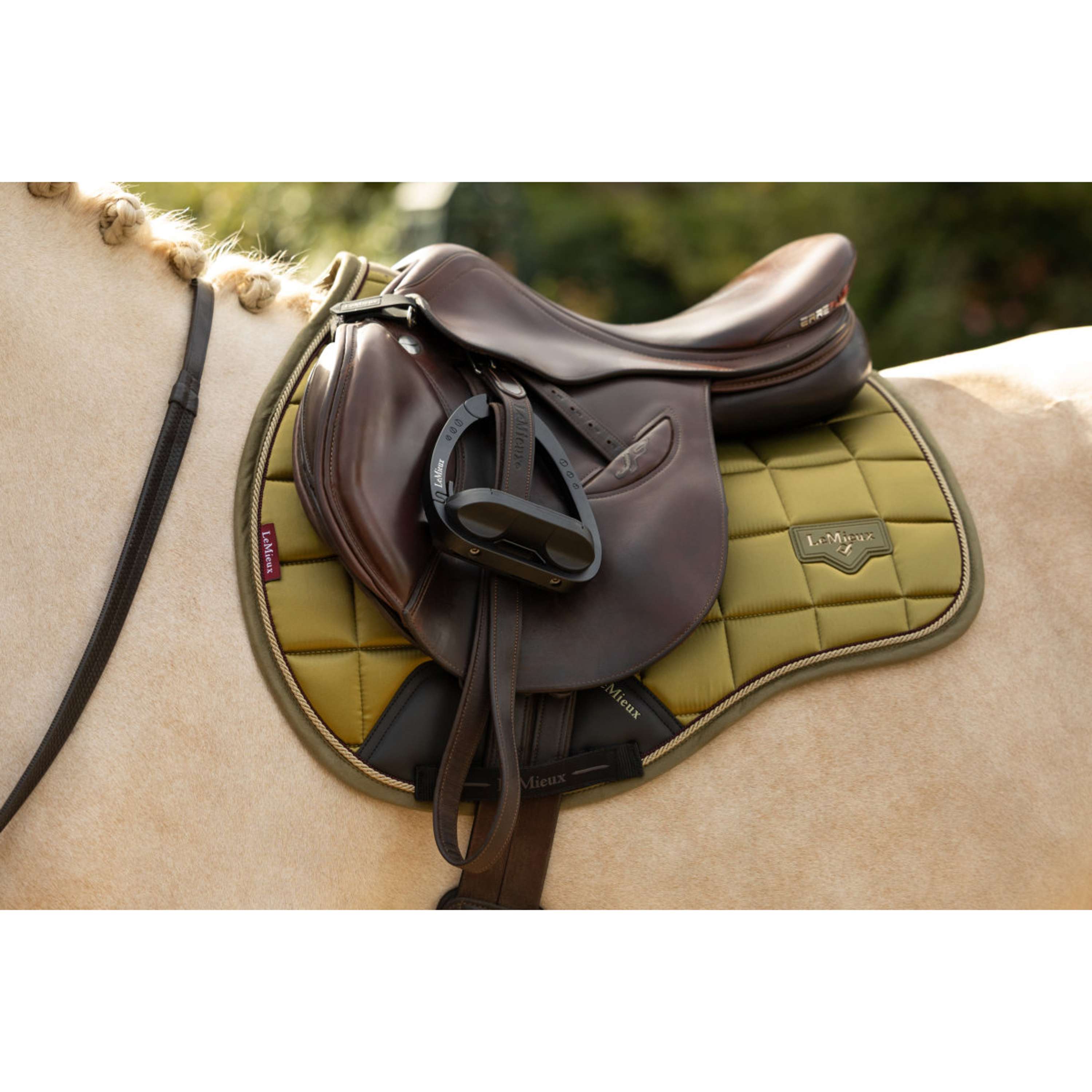 LeMieux Saddlepad Loire Classic Square All Purpose Gooseberry