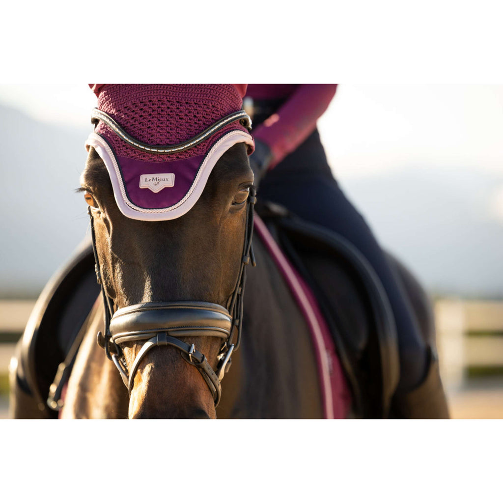 LeMieux Ear Bonnet Loire Blackberry