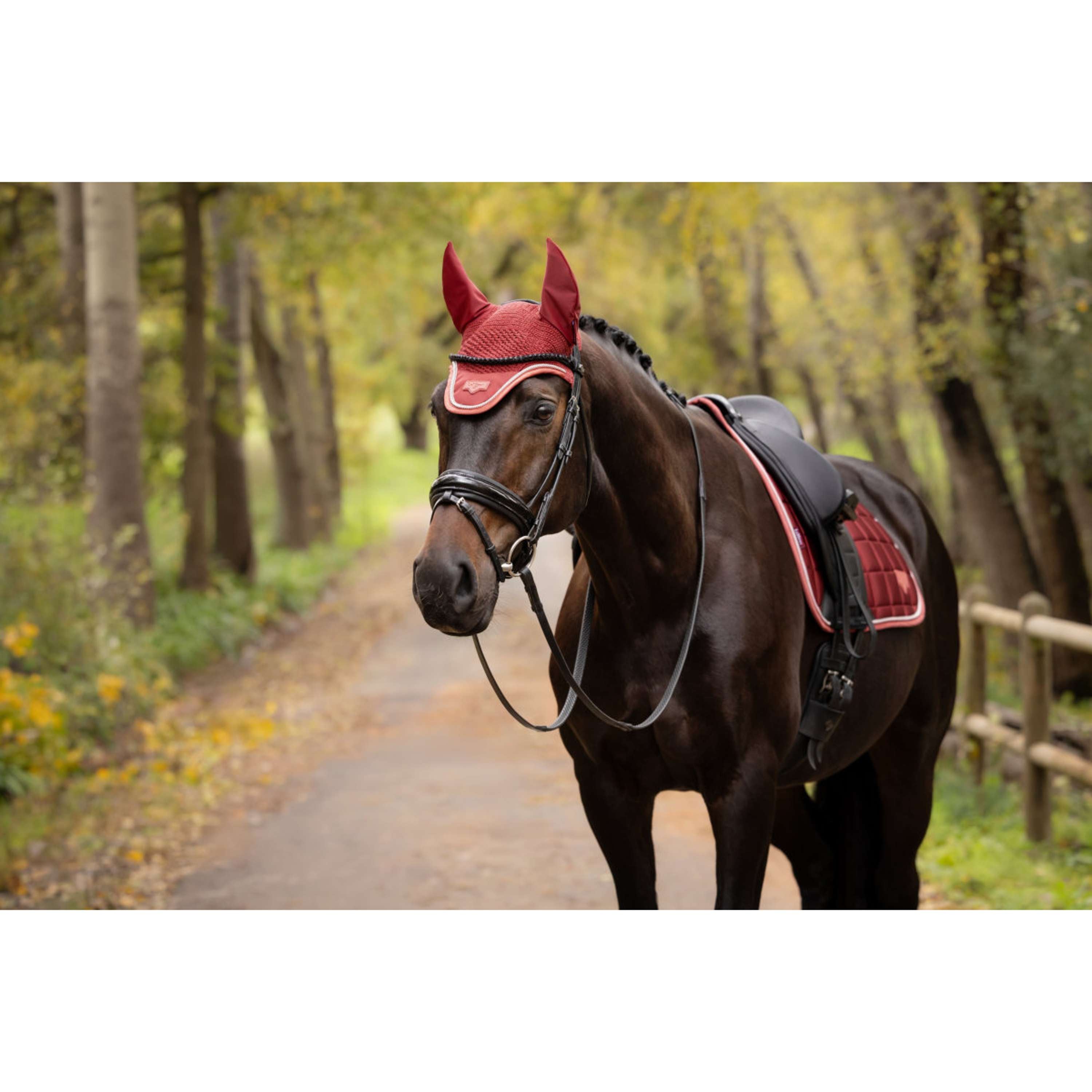 LeMieux Ear Bonnet Loire Russet
