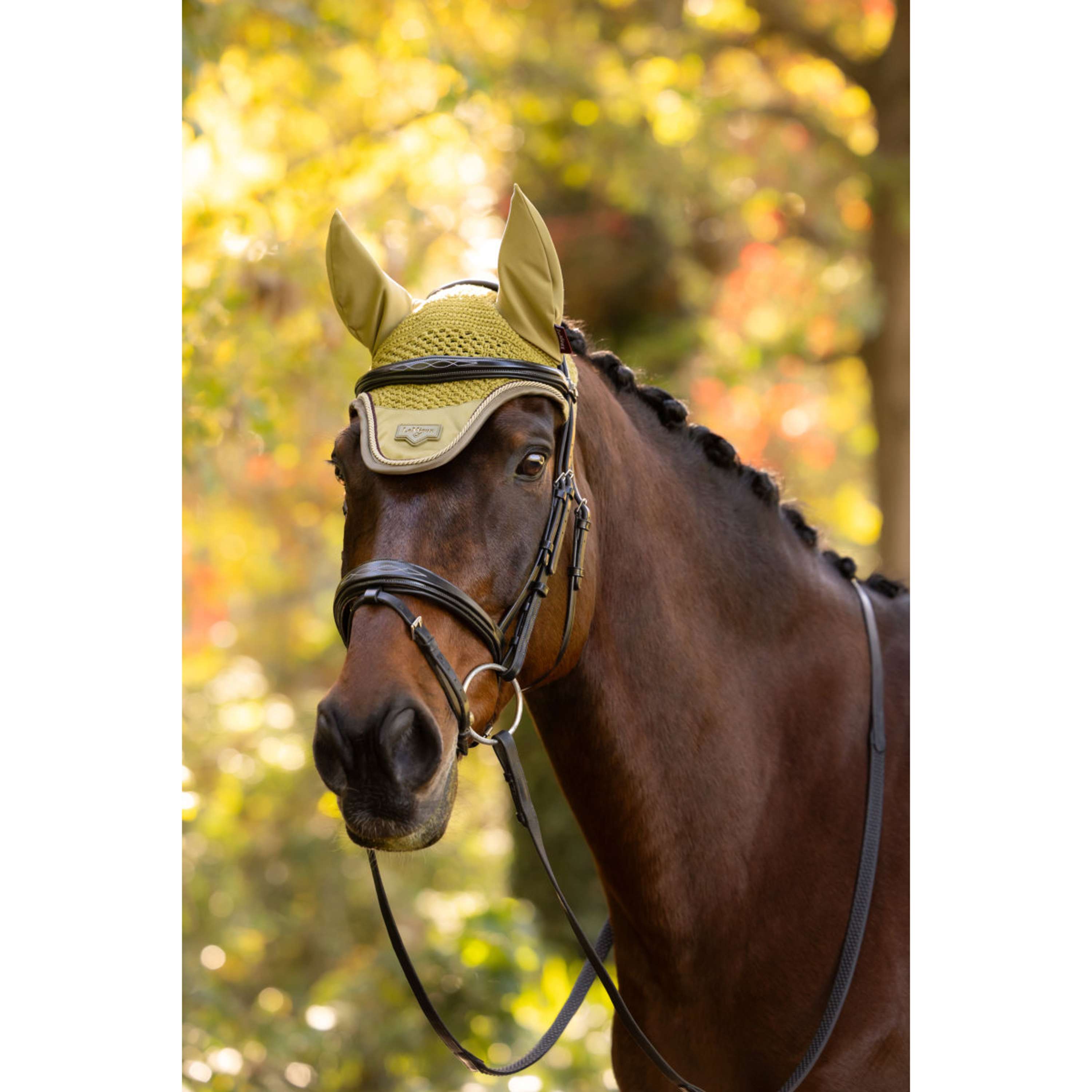 LeMieux Ear Bonnet Loire Gooseberry