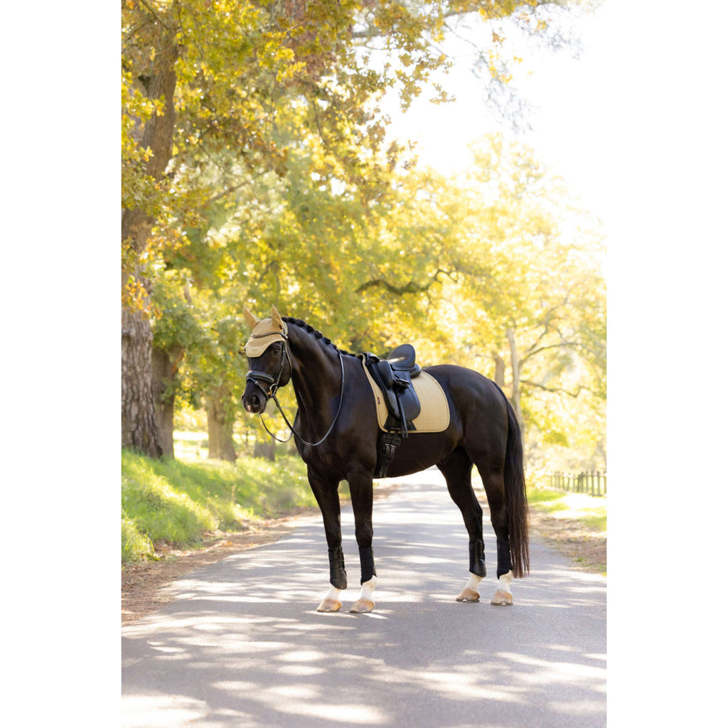 LeMieux Saddlepad Essence Dressage Pear