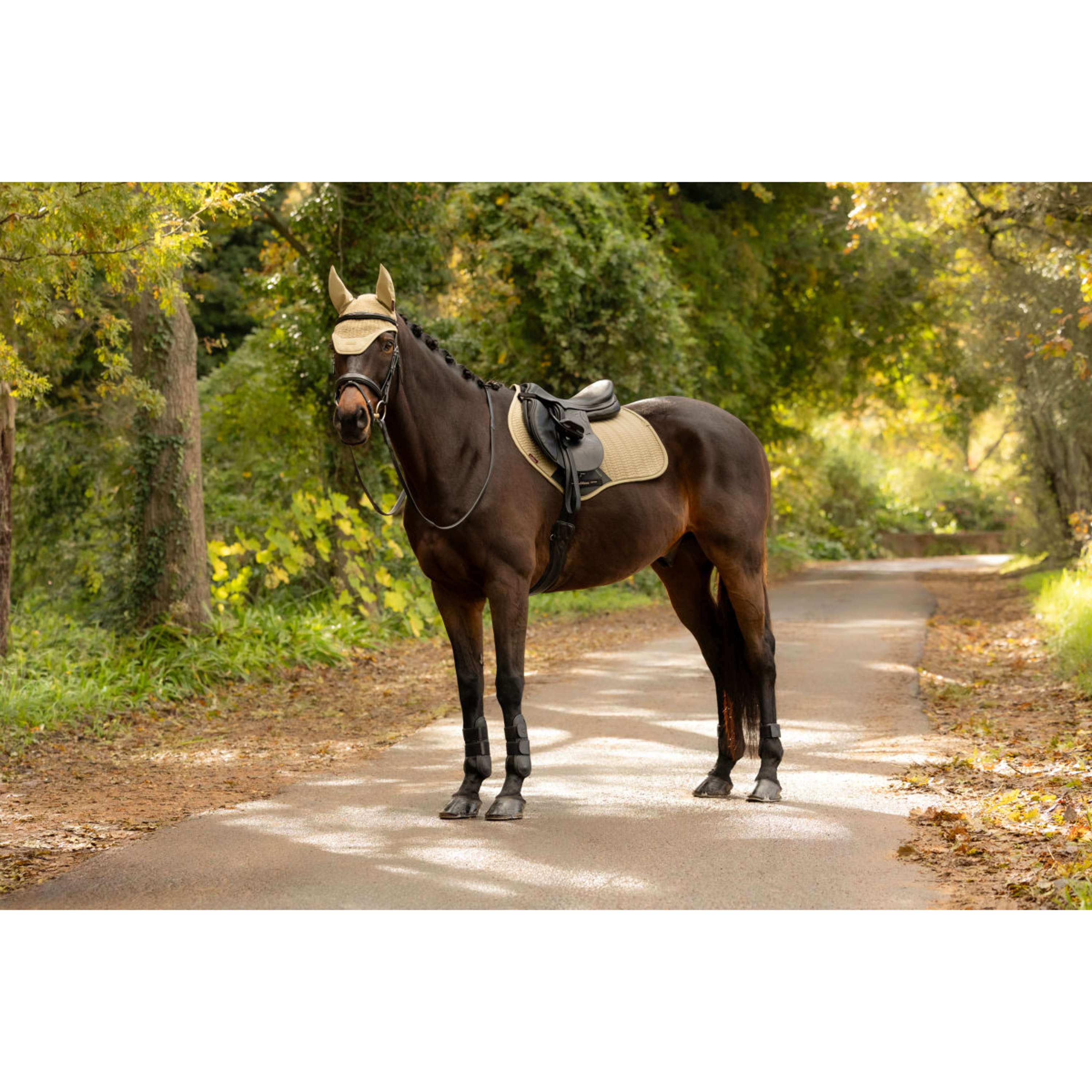 LeMieux Saddlepad Essence Close Contact Square Jumping Pear