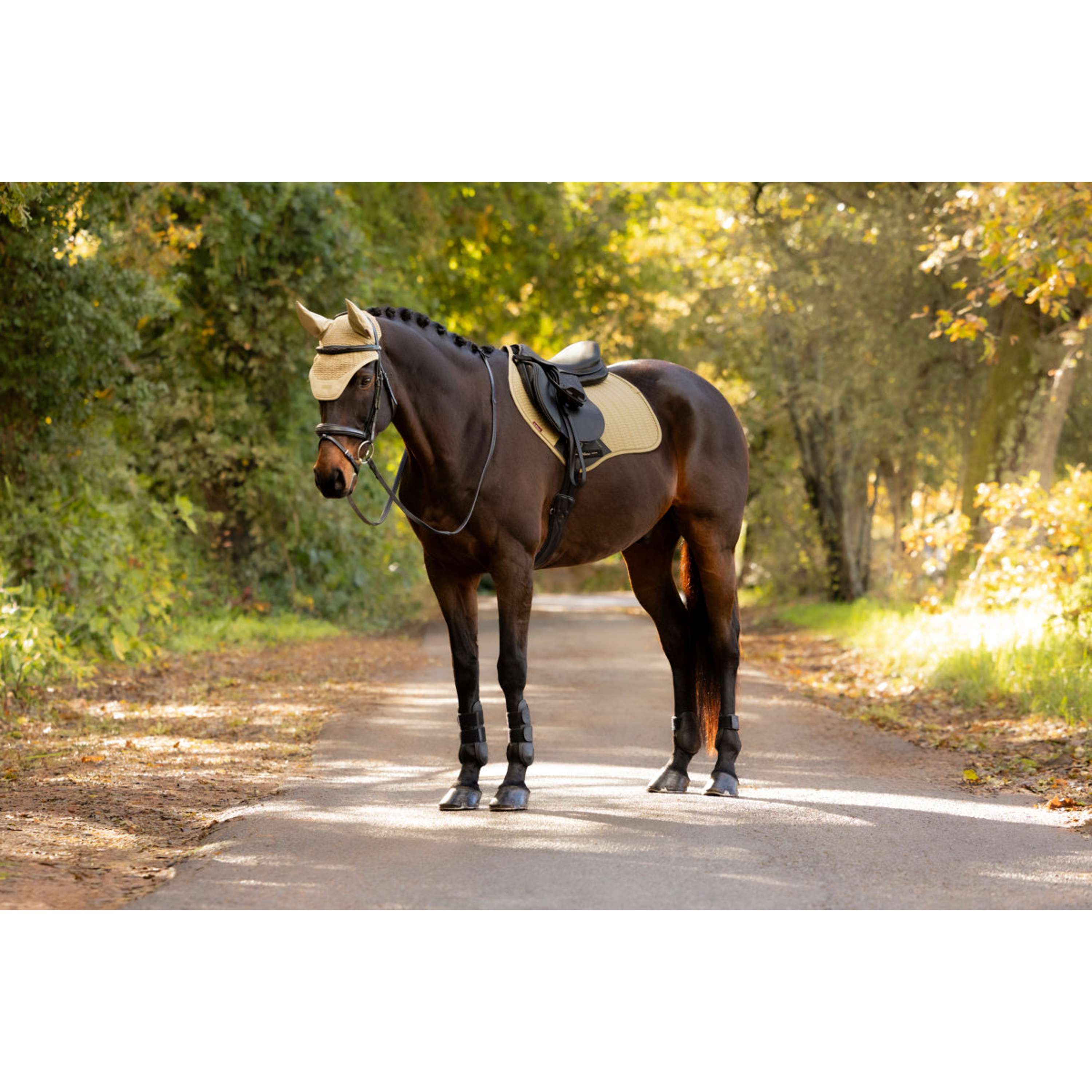 LeMieux Saddlepad Essence Close Contact Square Jumping Pear