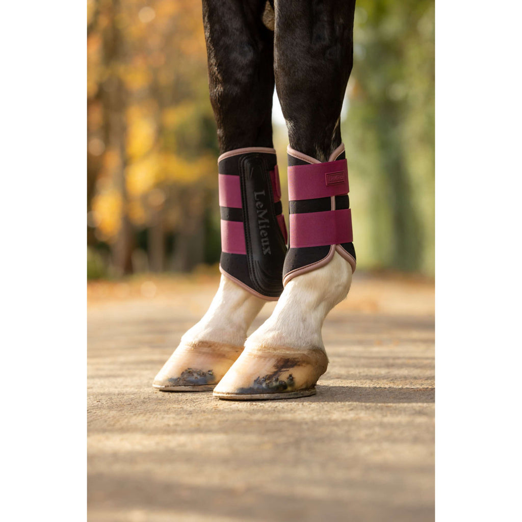 LeMieux Leg Protectors Air-Tek Grafter Blackberry
