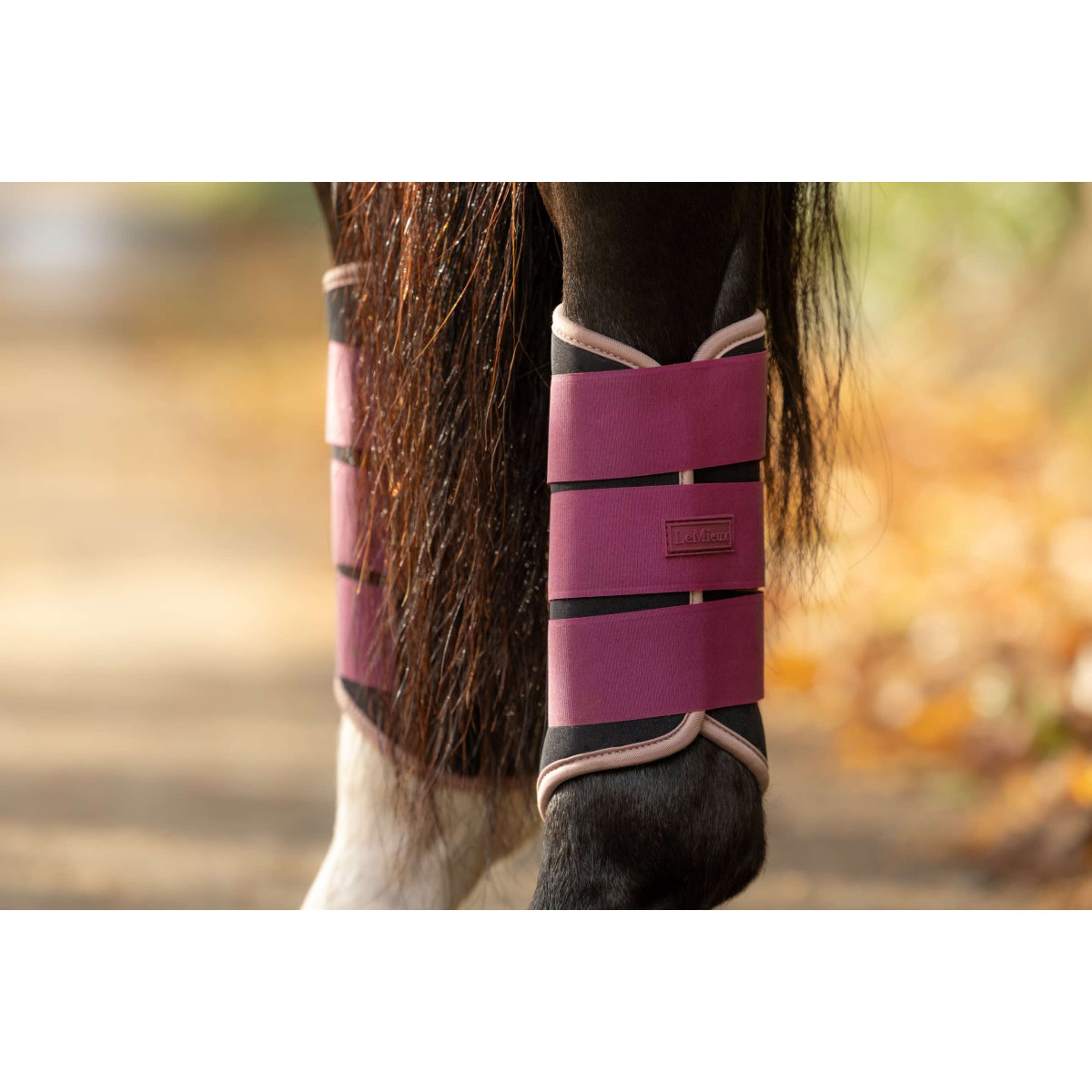 LeMieux Leg Protectors Air-Tek Grafter Blackberry