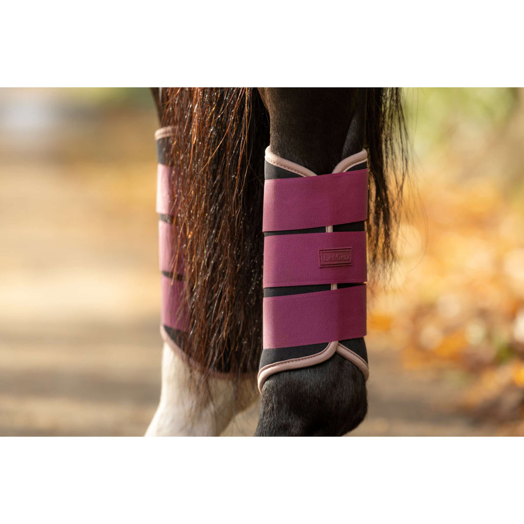 LeMieux Leg Protectors Air-Tek Grafter Blackberry