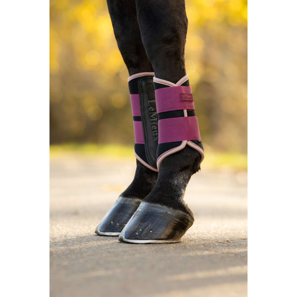LeMieux Leg Protectors Air-Tek Grafter Blackberry