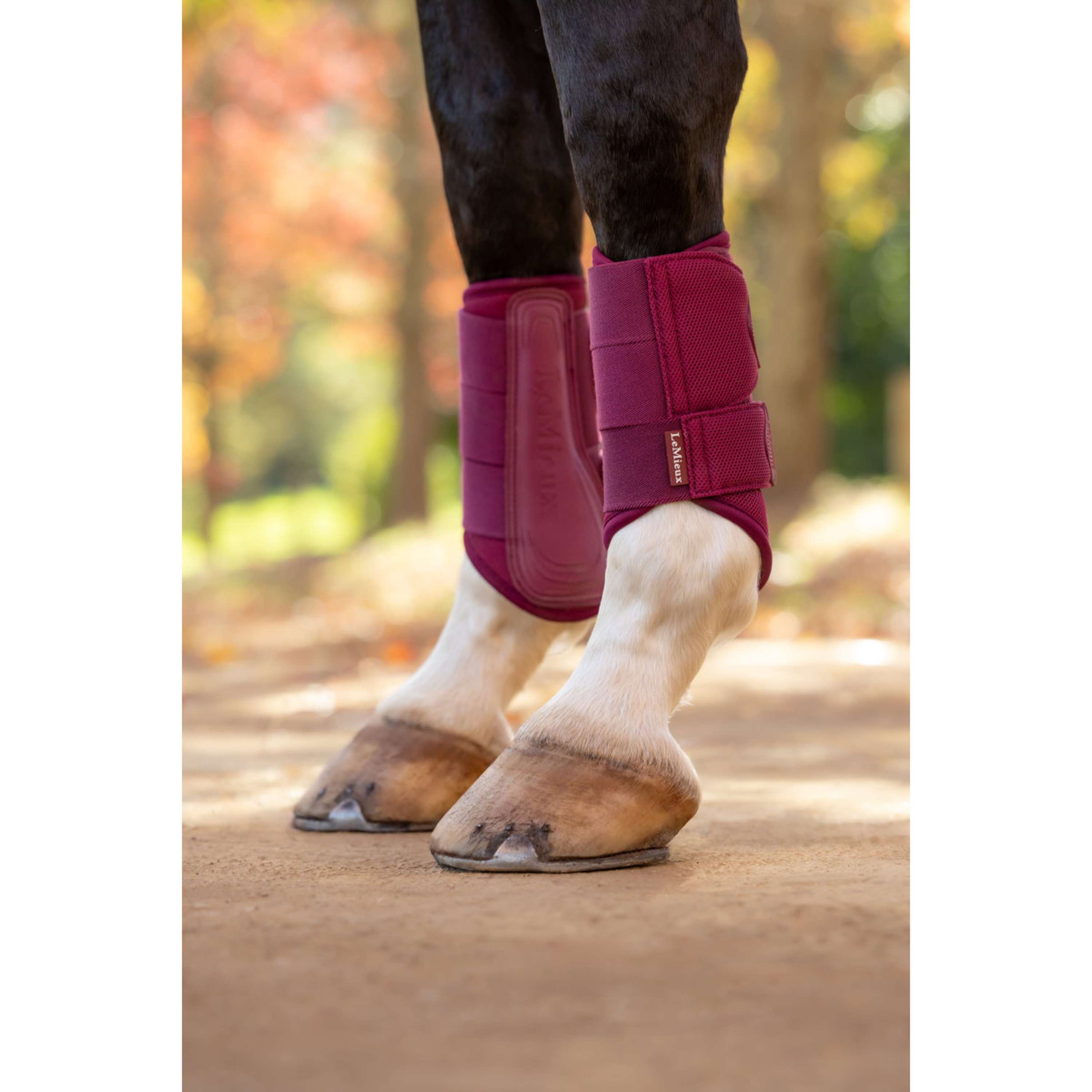 LeMieux Leg Protectors Arika Mesh Blackberry