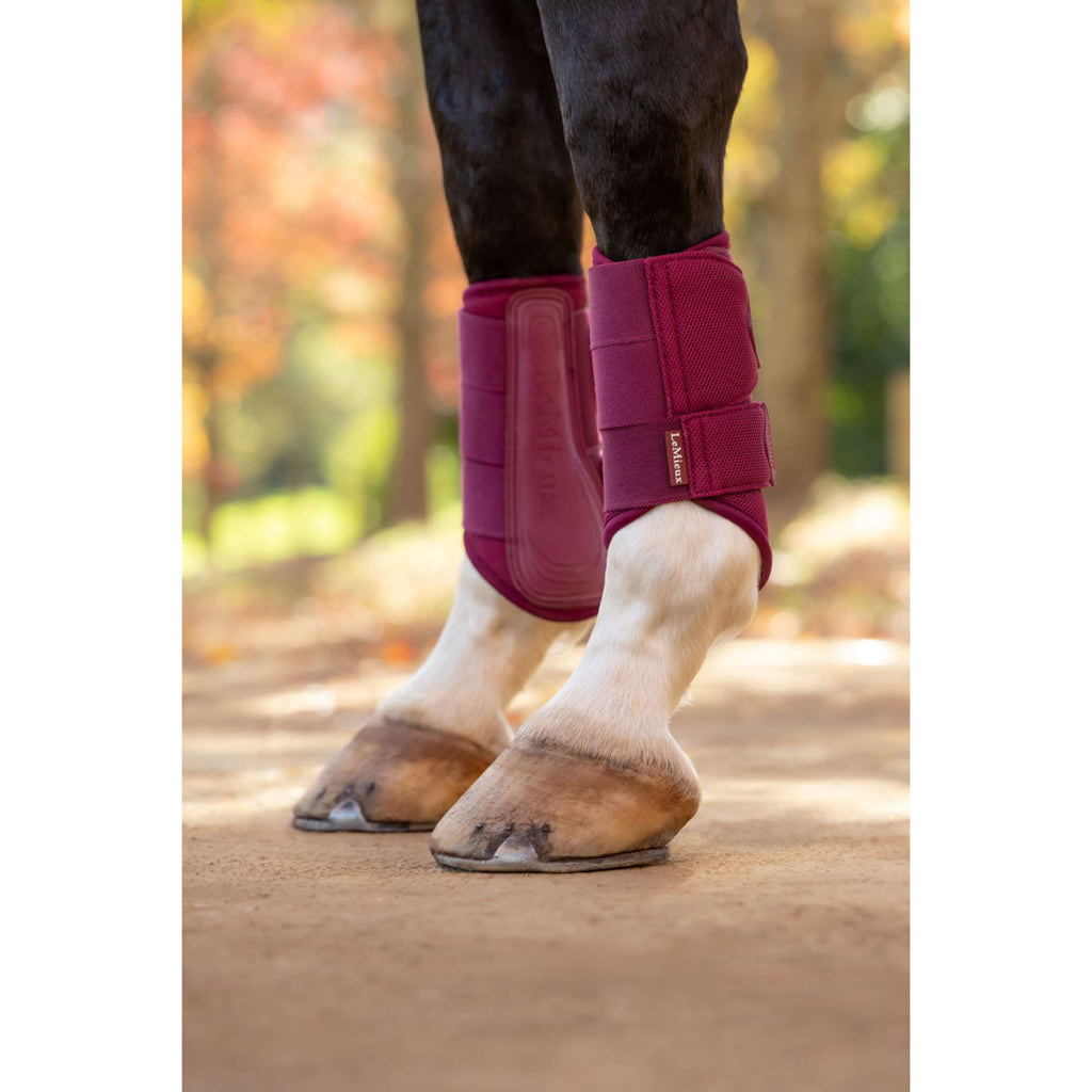 LeMieux Leg Protectors Arika Mesh Blackberry