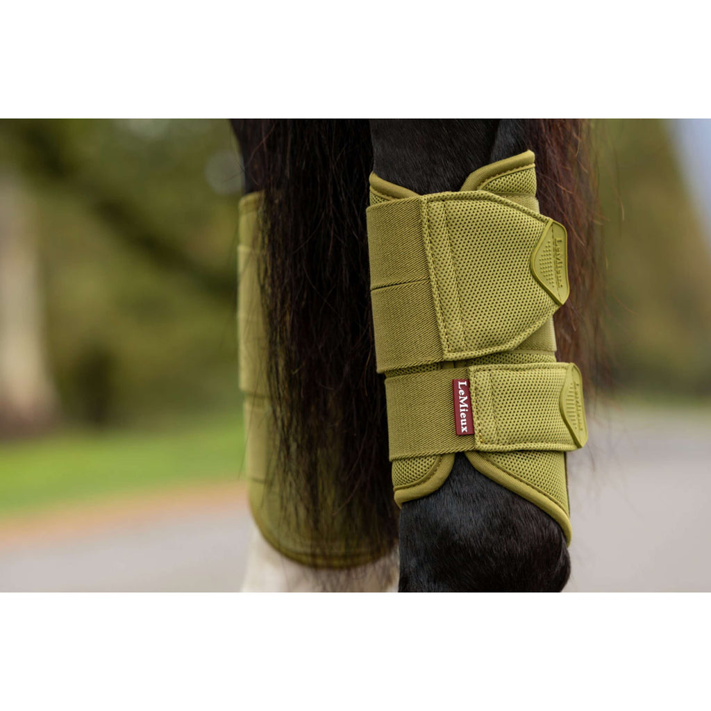 LeMieux Leg Protectors Arika Mesh Gooseberry