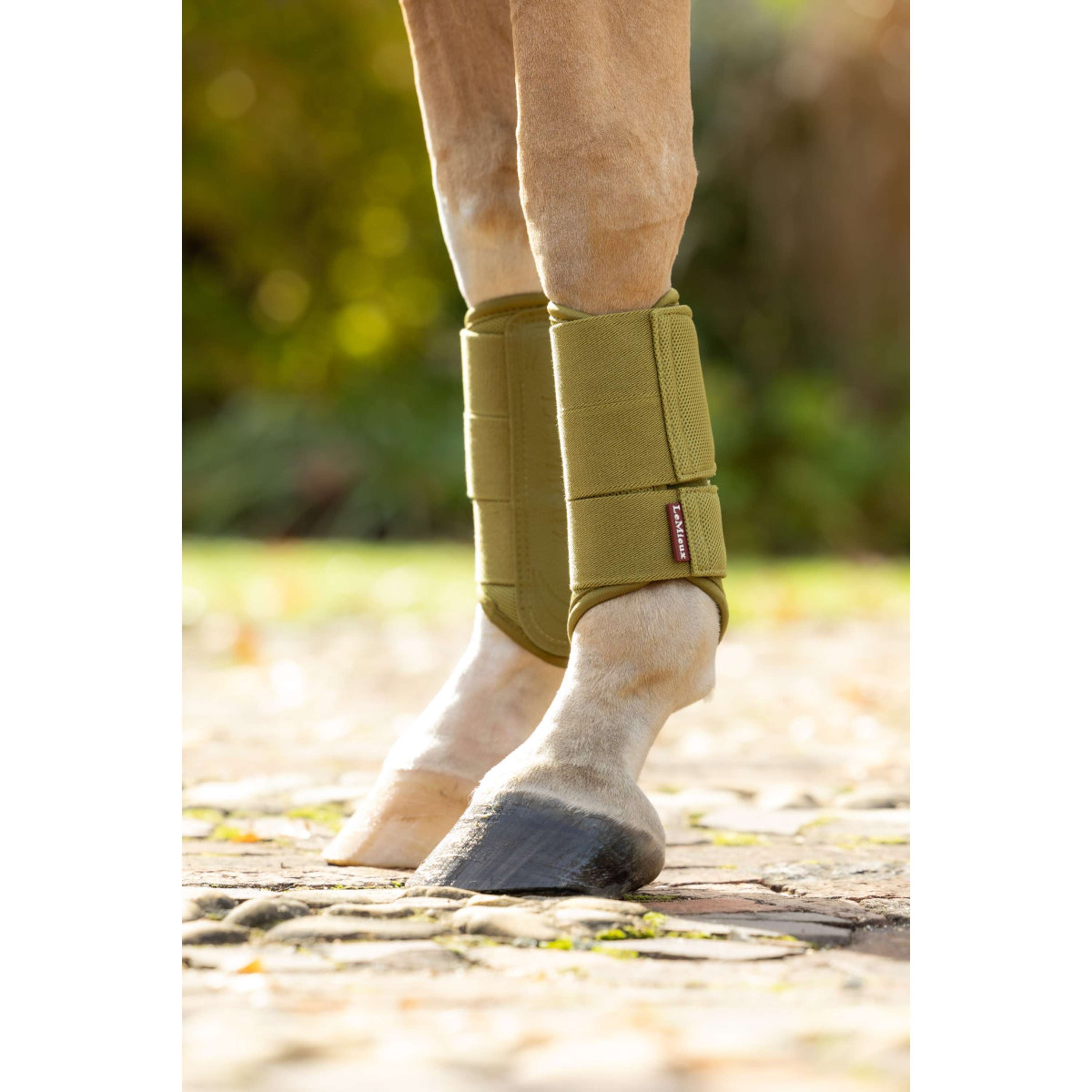 LeMieux Leg Protectors Arika Mesh Gooseberry