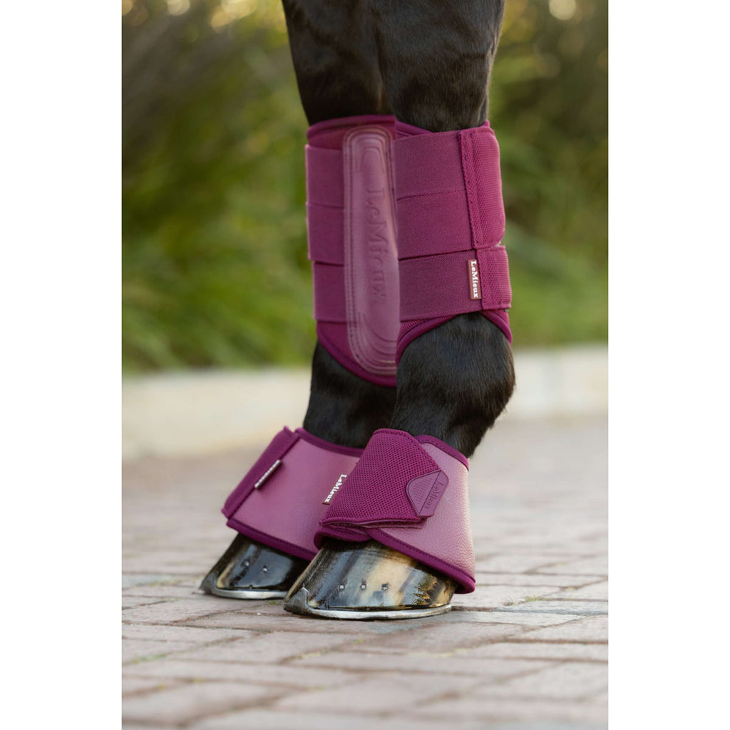 LeMieux Bell Boots Arika Blackberry