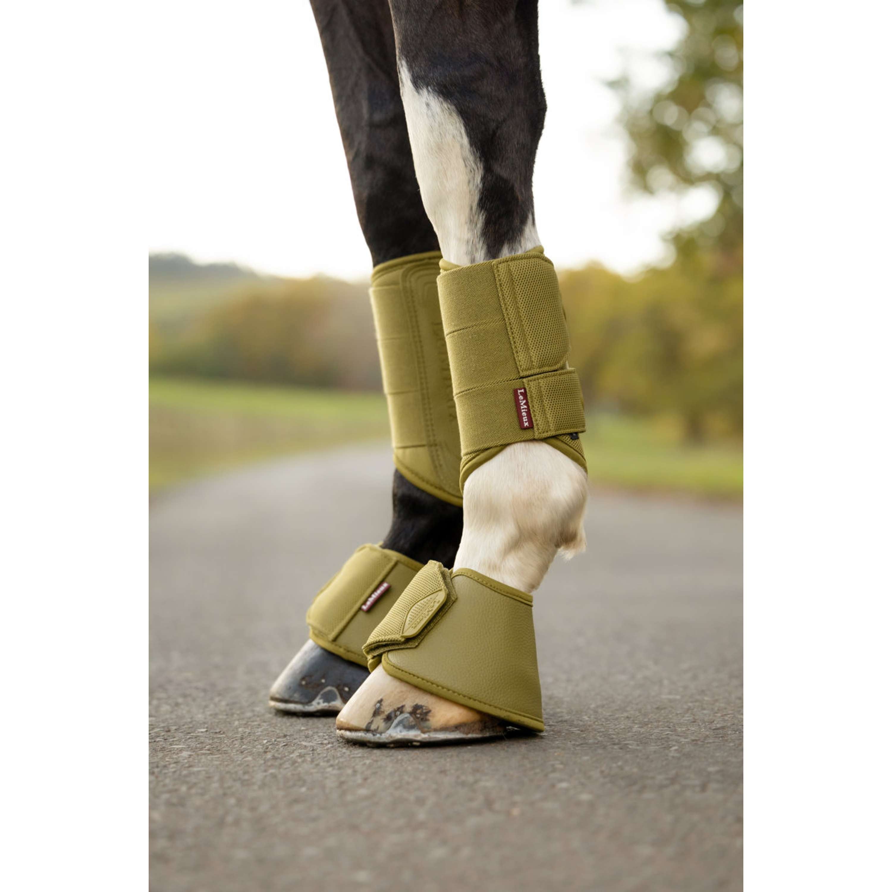 LeMieux Bell Boots Arika Gooseberry