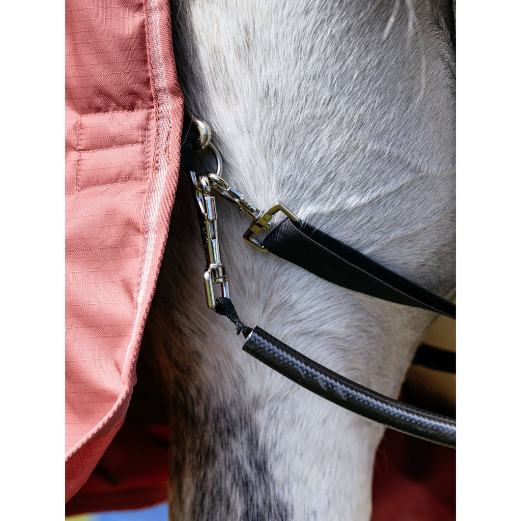 LeMieux Rain Rug Arika Star 0g Spiced Earth