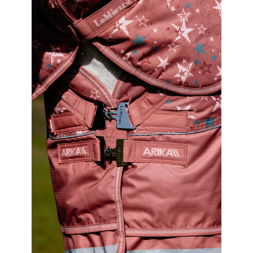 LeMieux Rain Rug Arika Star 0g Spiced Earth
