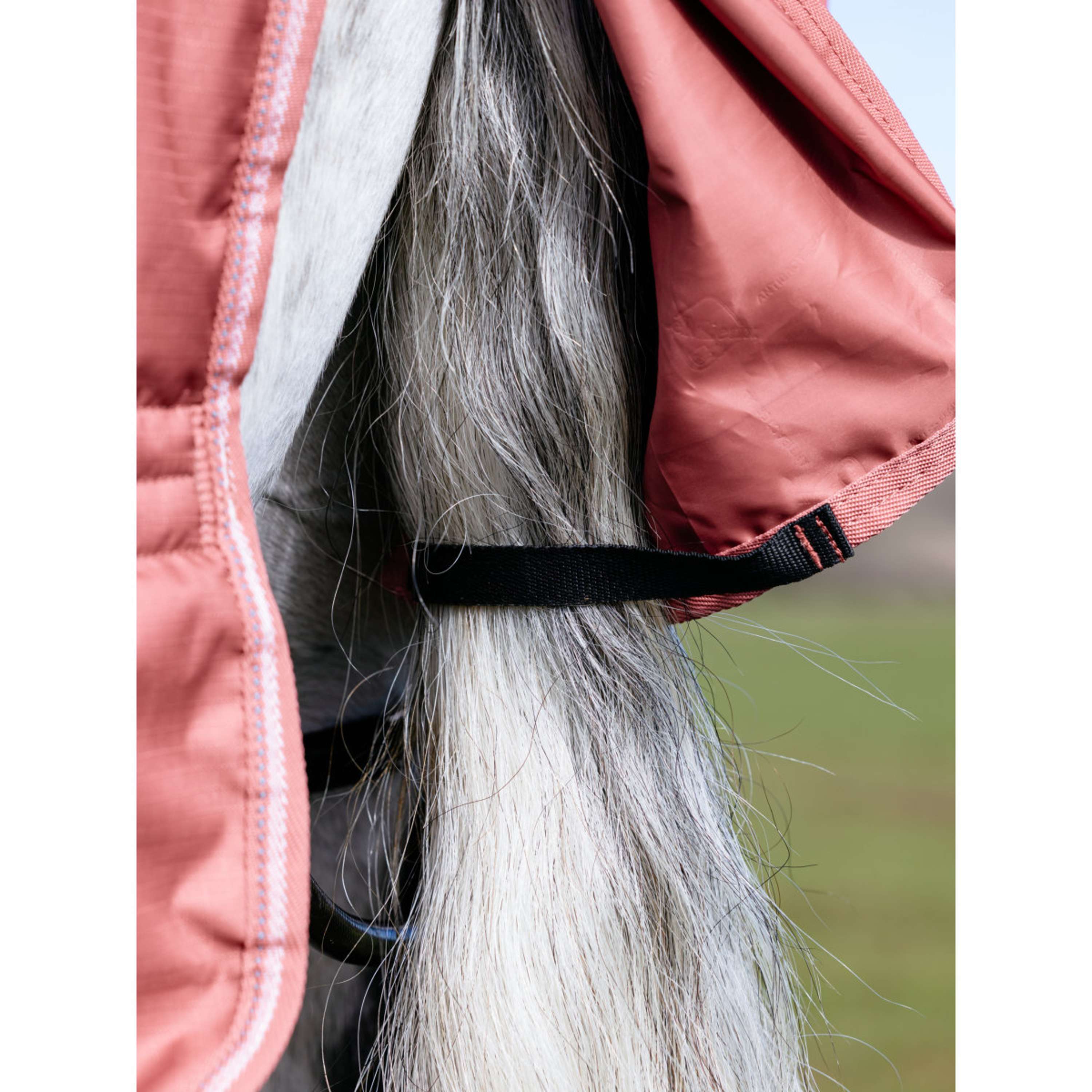 LeMieux Rain Rug Arika Star 0g Spiced Earth