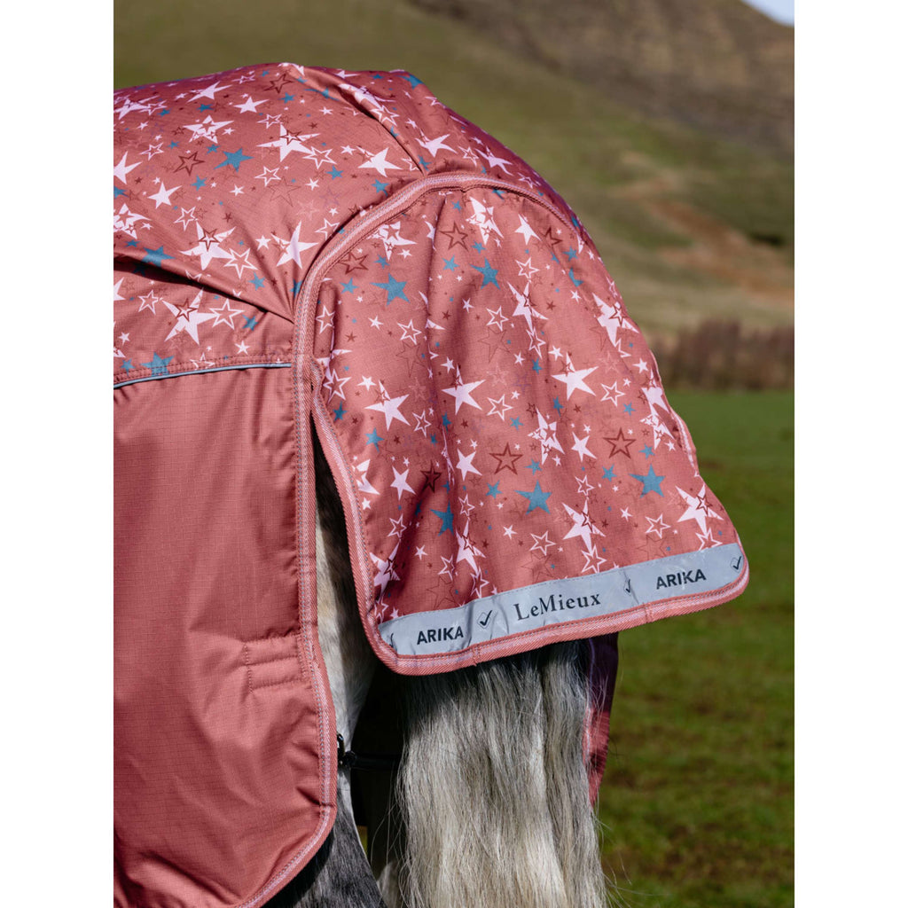 LeMieux Rain Rug Arika Star 0g Spiced Earth