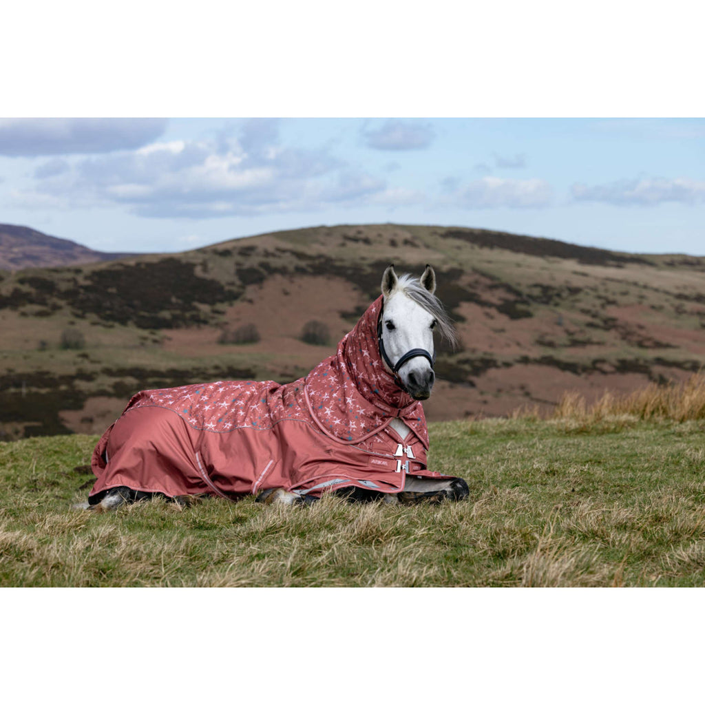 LeMieux Rain Rug Arika Star 0g Spiced Earth