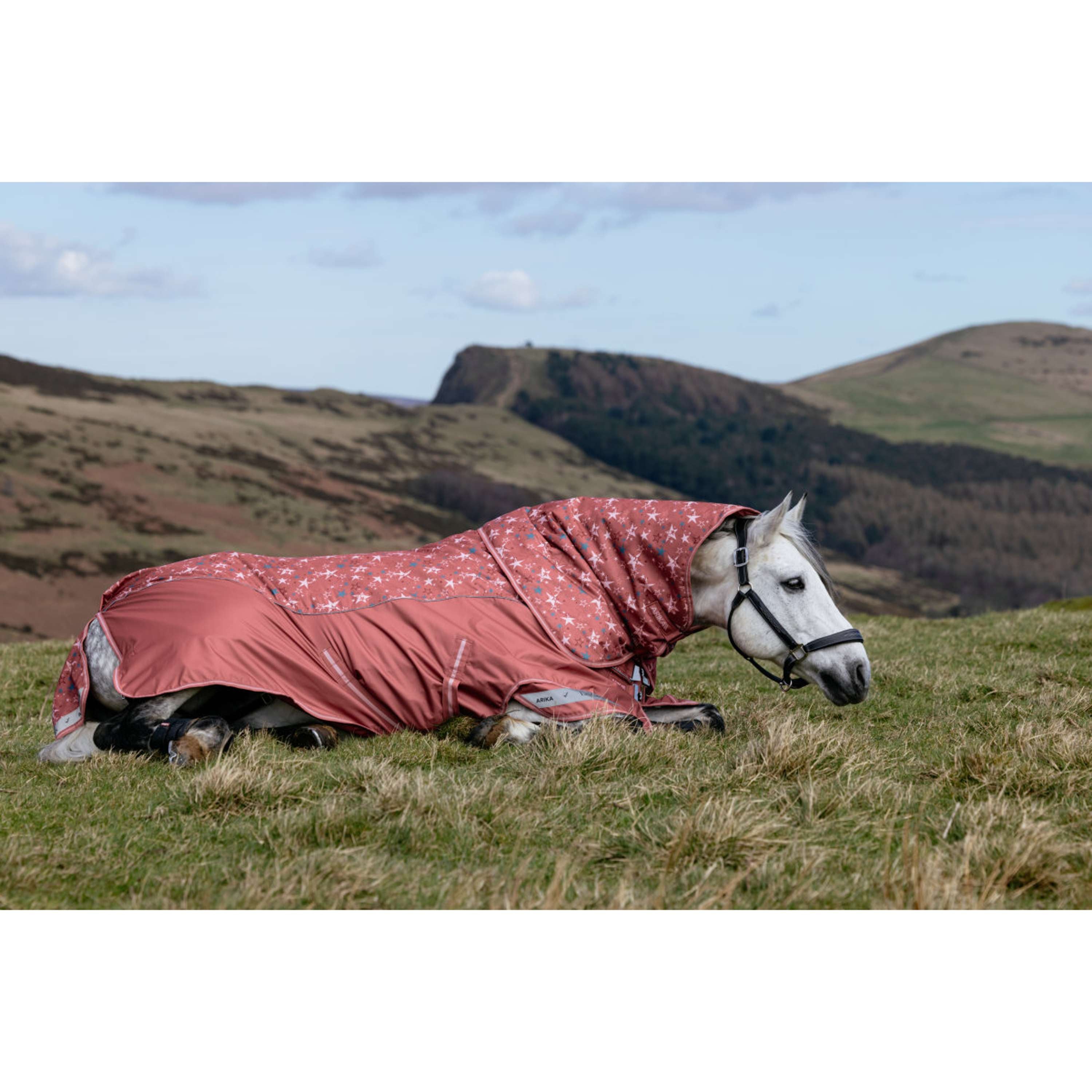 LeMieux Rain Rug Arika Star 0g Spiced Earth