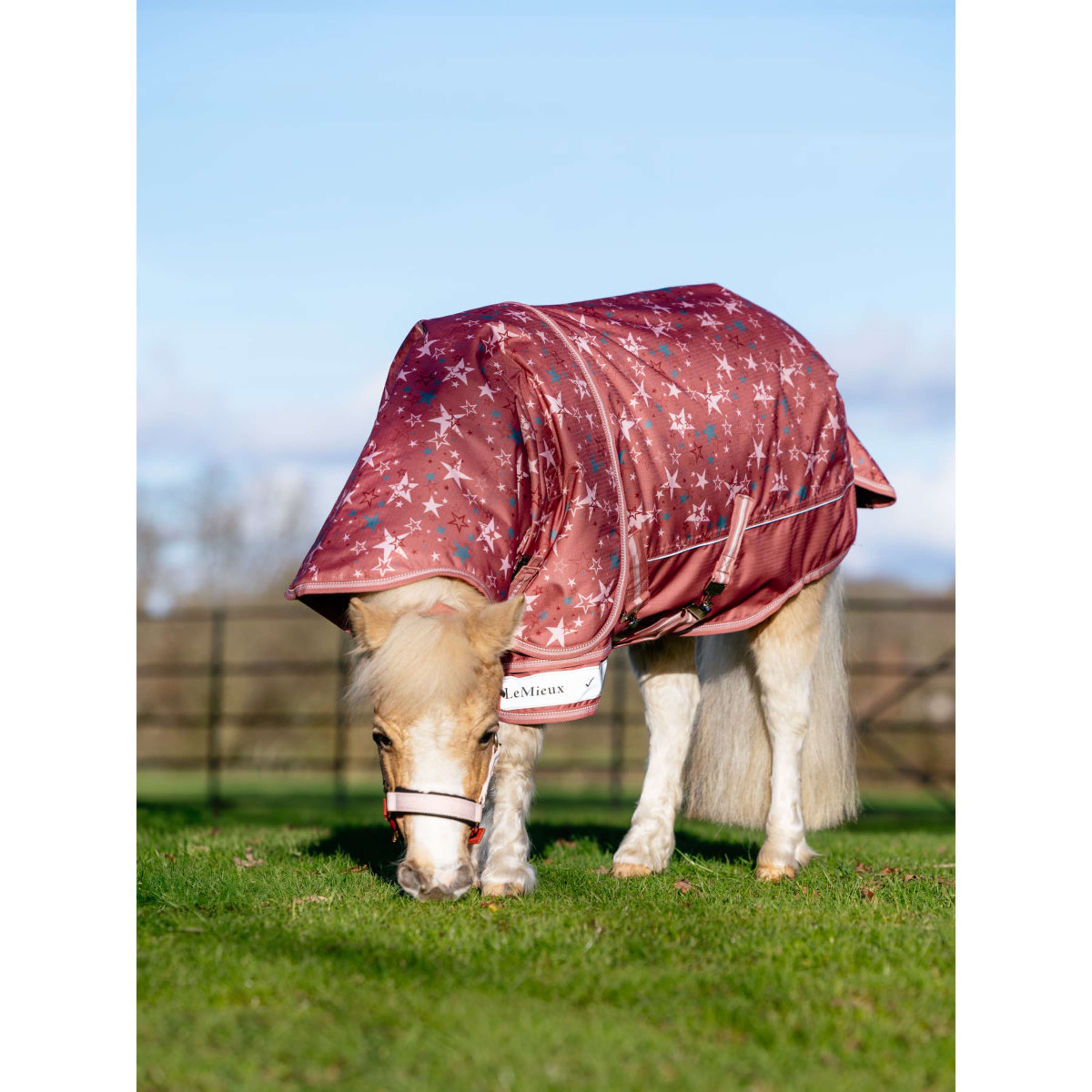 LeMieux Rain Rug Arika Star 0g Spiced Earth