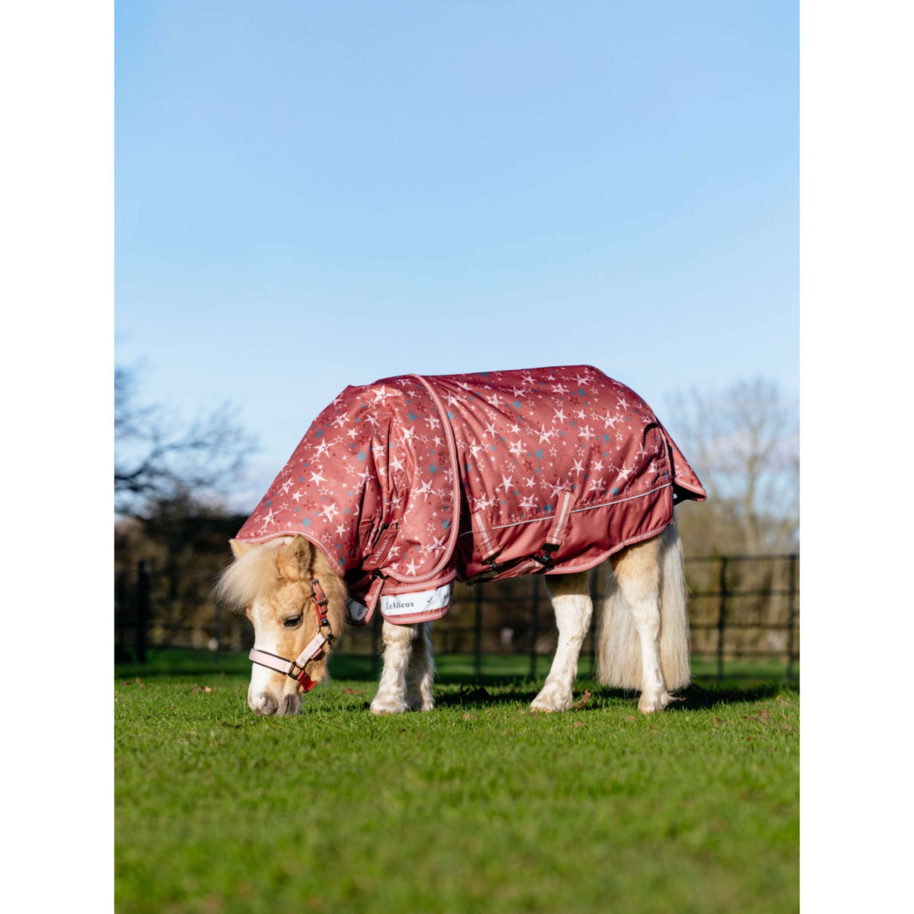 LeMieux Rain Rug Arika Star 0g Spiced Earth