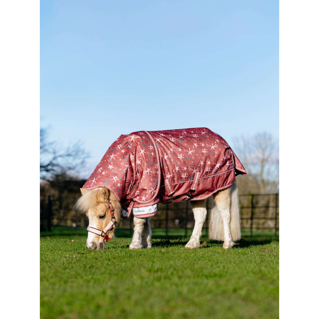 LeMieux Rain Rug Arika Star 0g Spiced Earth