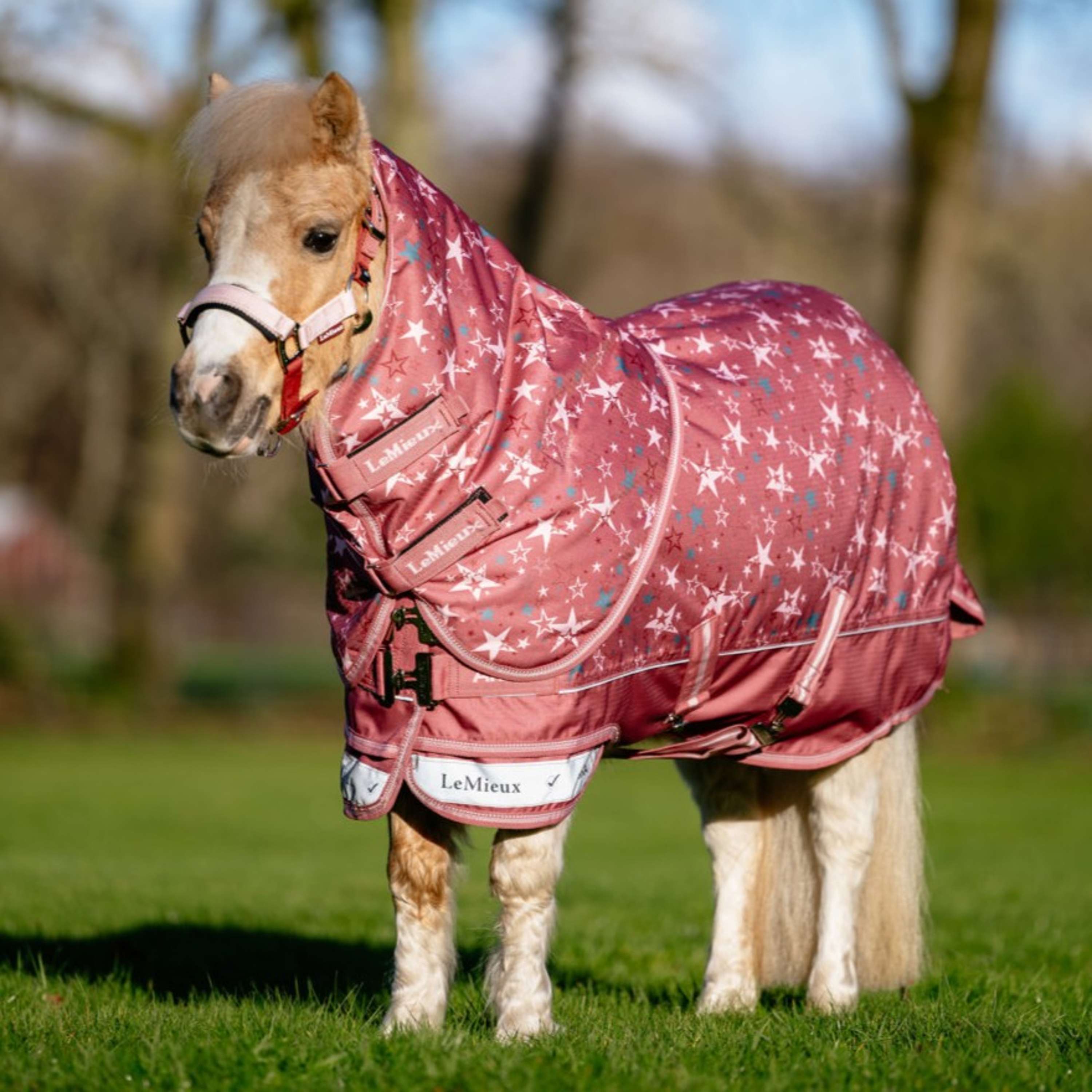 LeMieux Rain Rug Arika Star 0g Spiced Earth