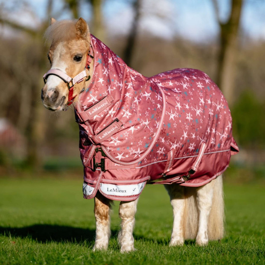 LeMieux Rain Rug Arika Star 0g Spiced Earth
