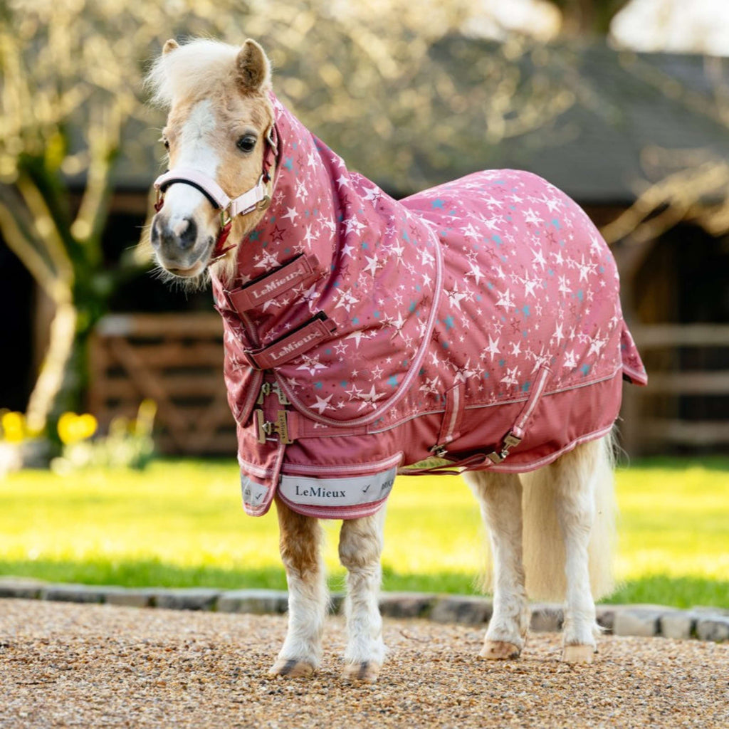 LeMieux Rain Rug Arika Star 0g Spiced Earth