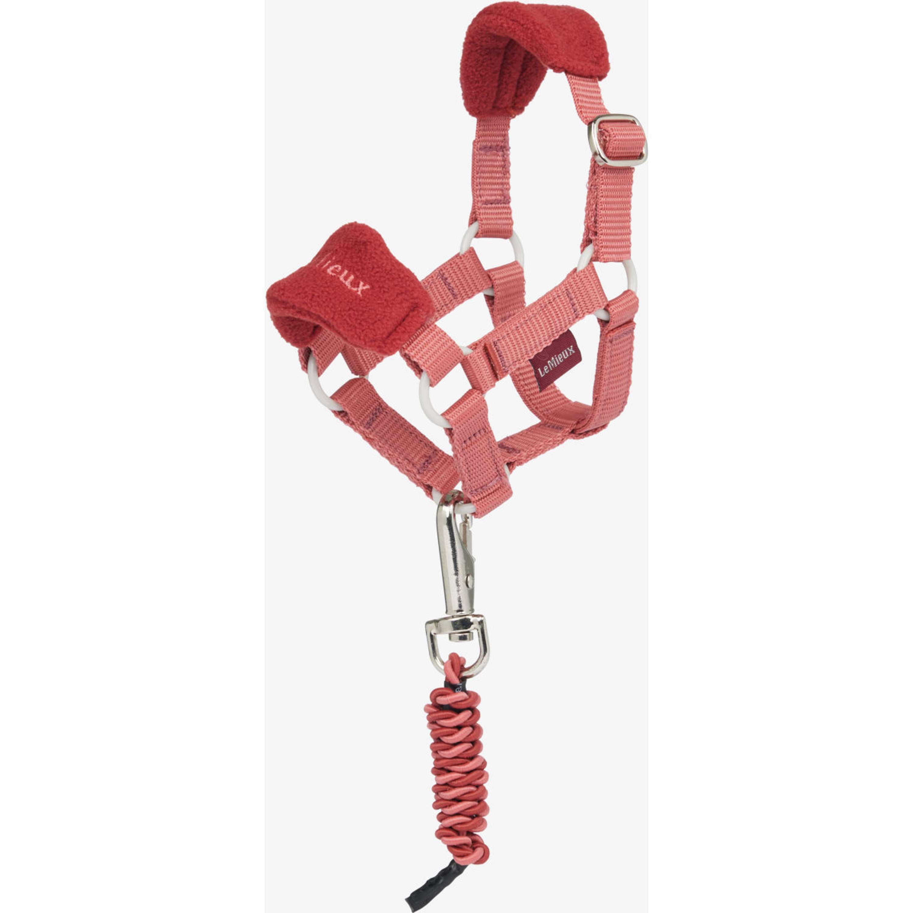 LeMieux Toy Pony Halter set Spiced Earth