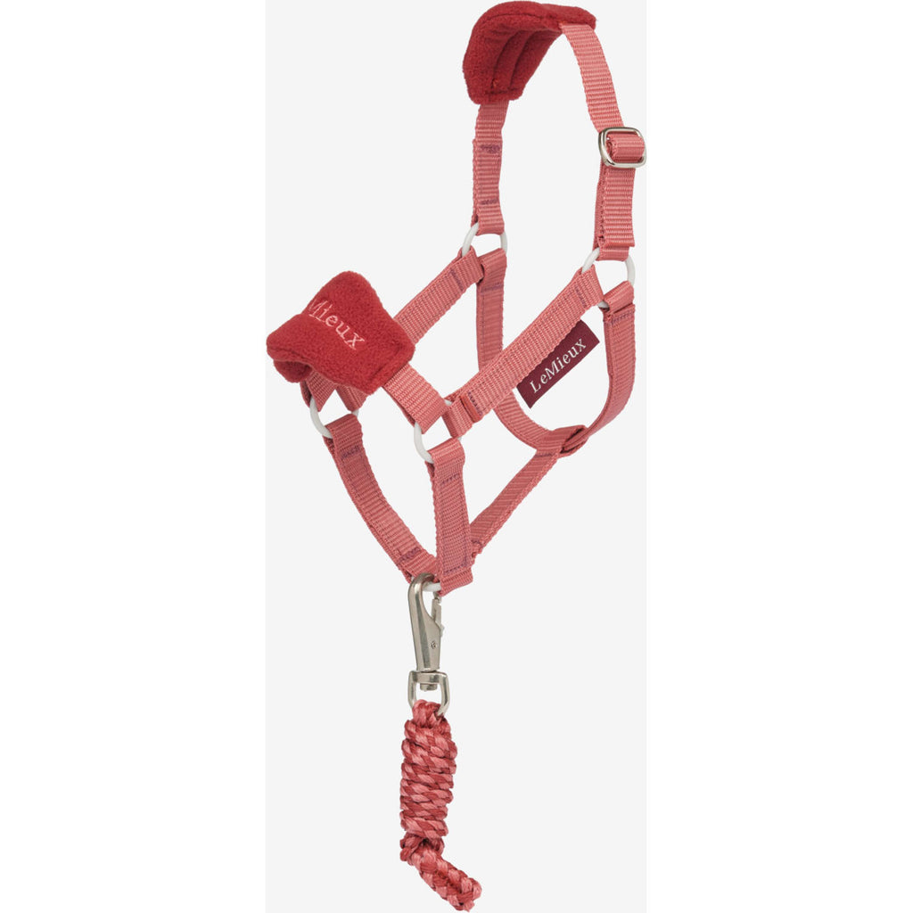 LeMieux Hobby Horse Halter Set Spiced Earth