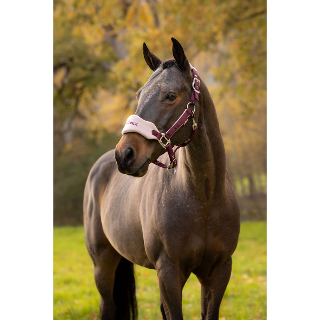 LeMieux Halter Set Vogue Blackberry