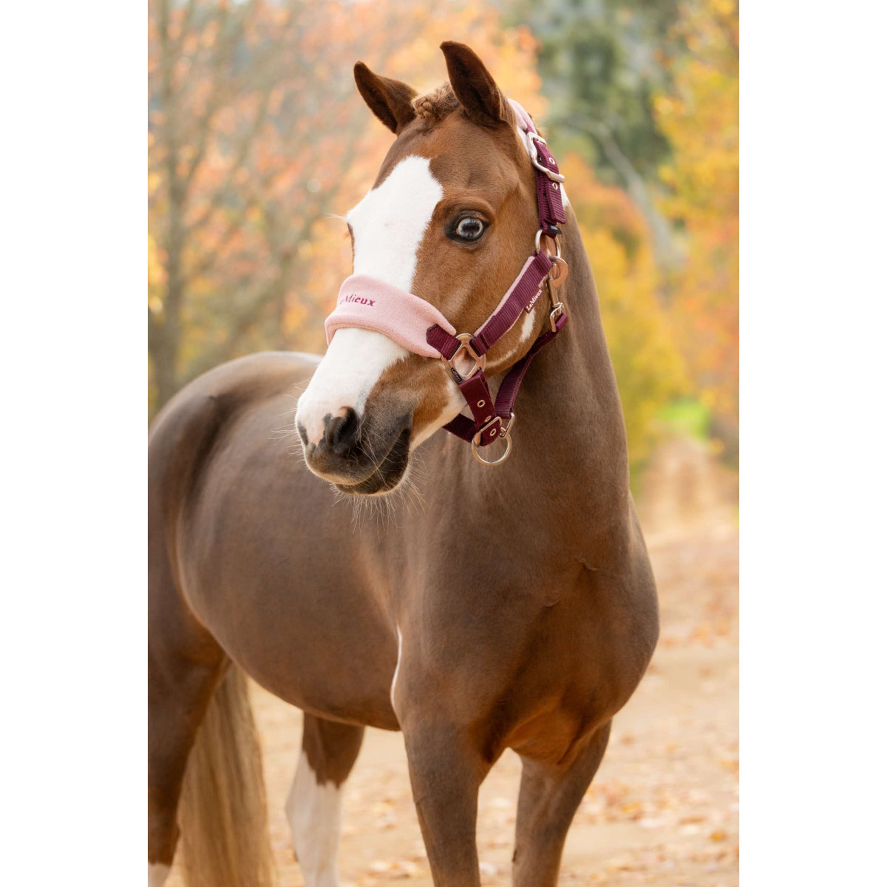 LeMieux Halter Set Vogue Blackberry
