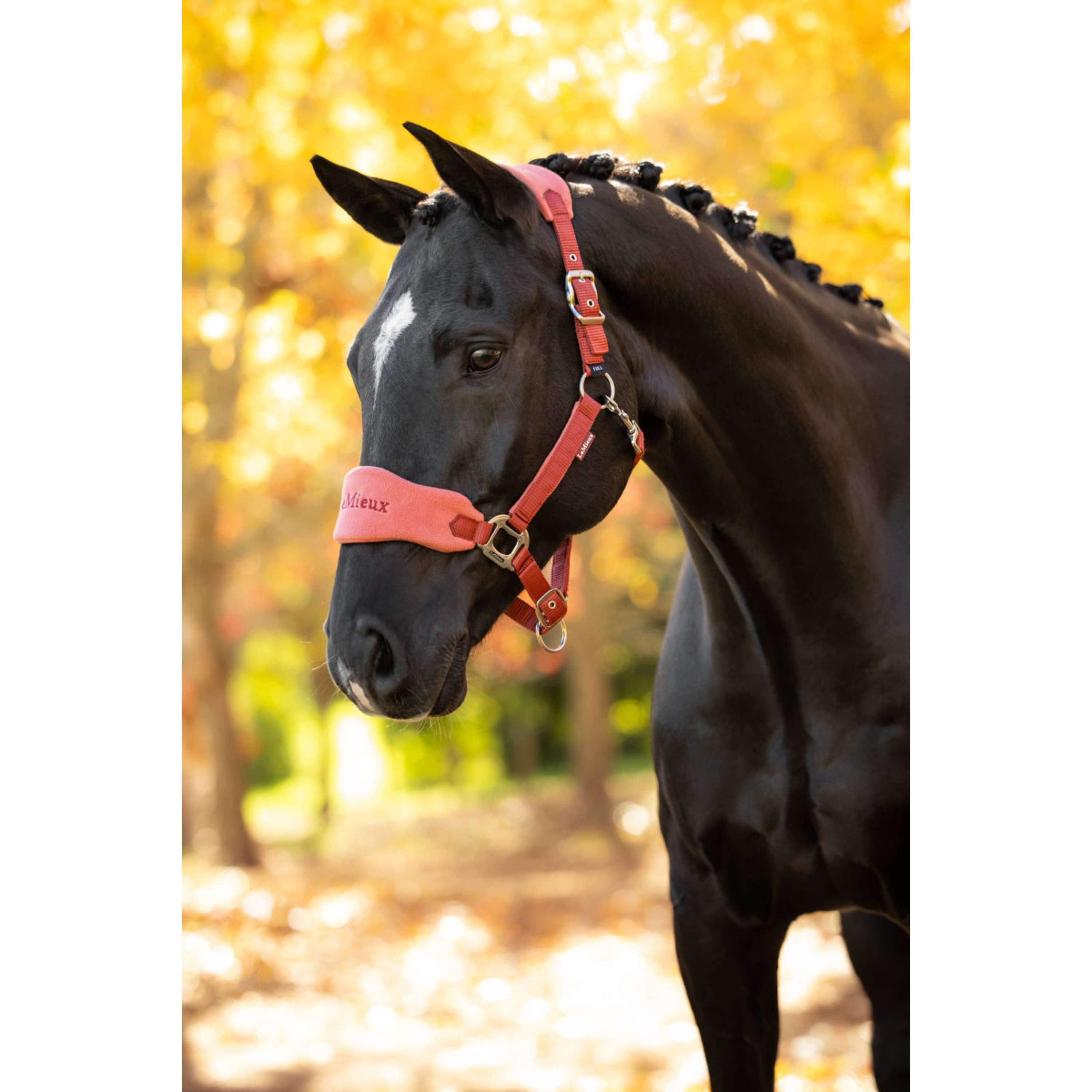LeMieux Halter Set Vogue Russet