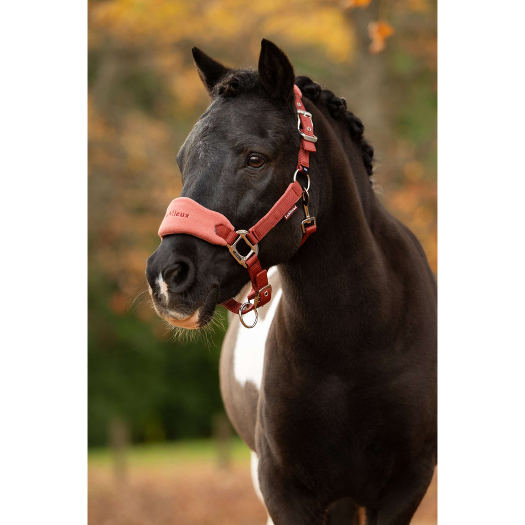 LeMieux Halter Set Vogue Russet